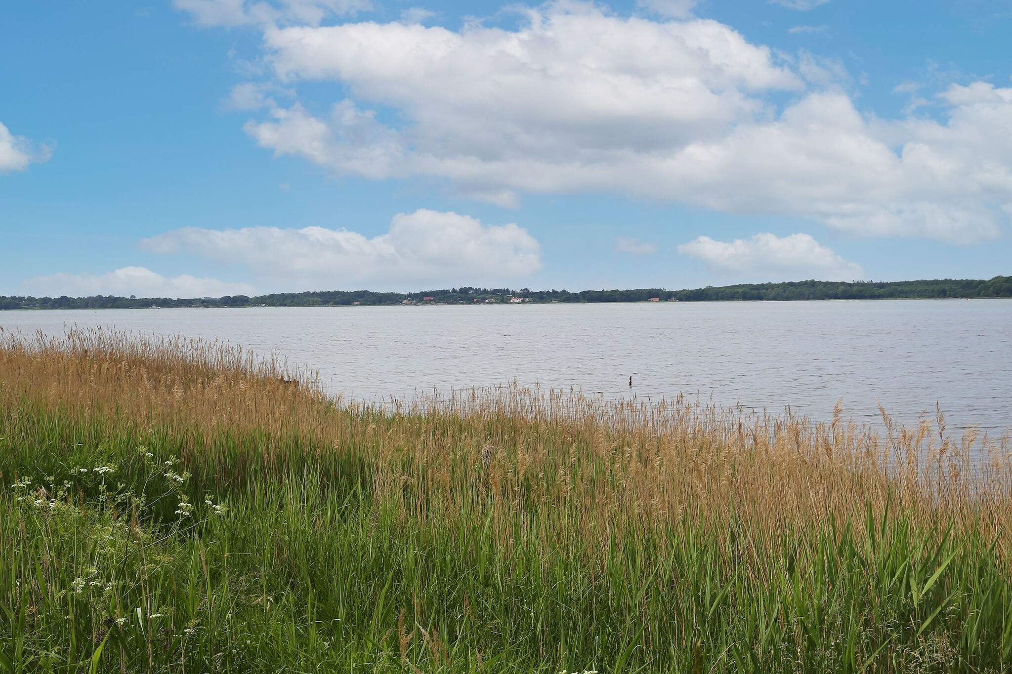 Maison de vacances pour 6 a Jægerspris - Vue sur l'eau