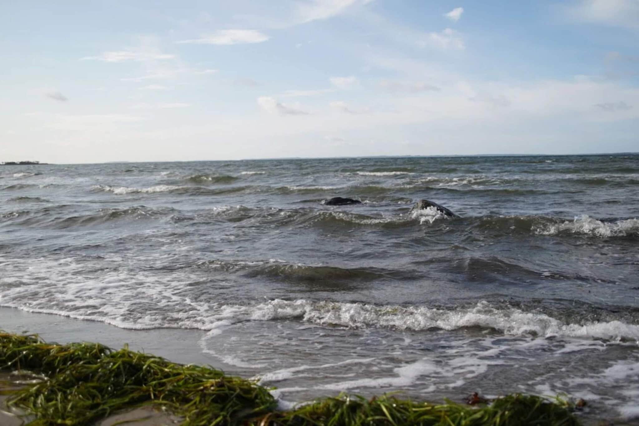 Maison de vacances pour 6 a Jægerspris - Vue sur l'eau