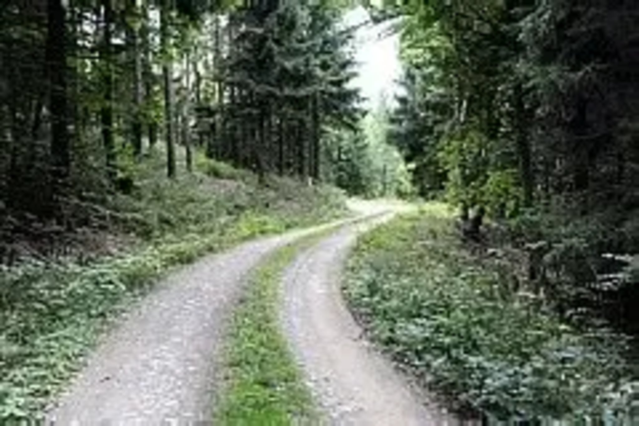 Ferienhaus in Wieda-Areas summer 5km