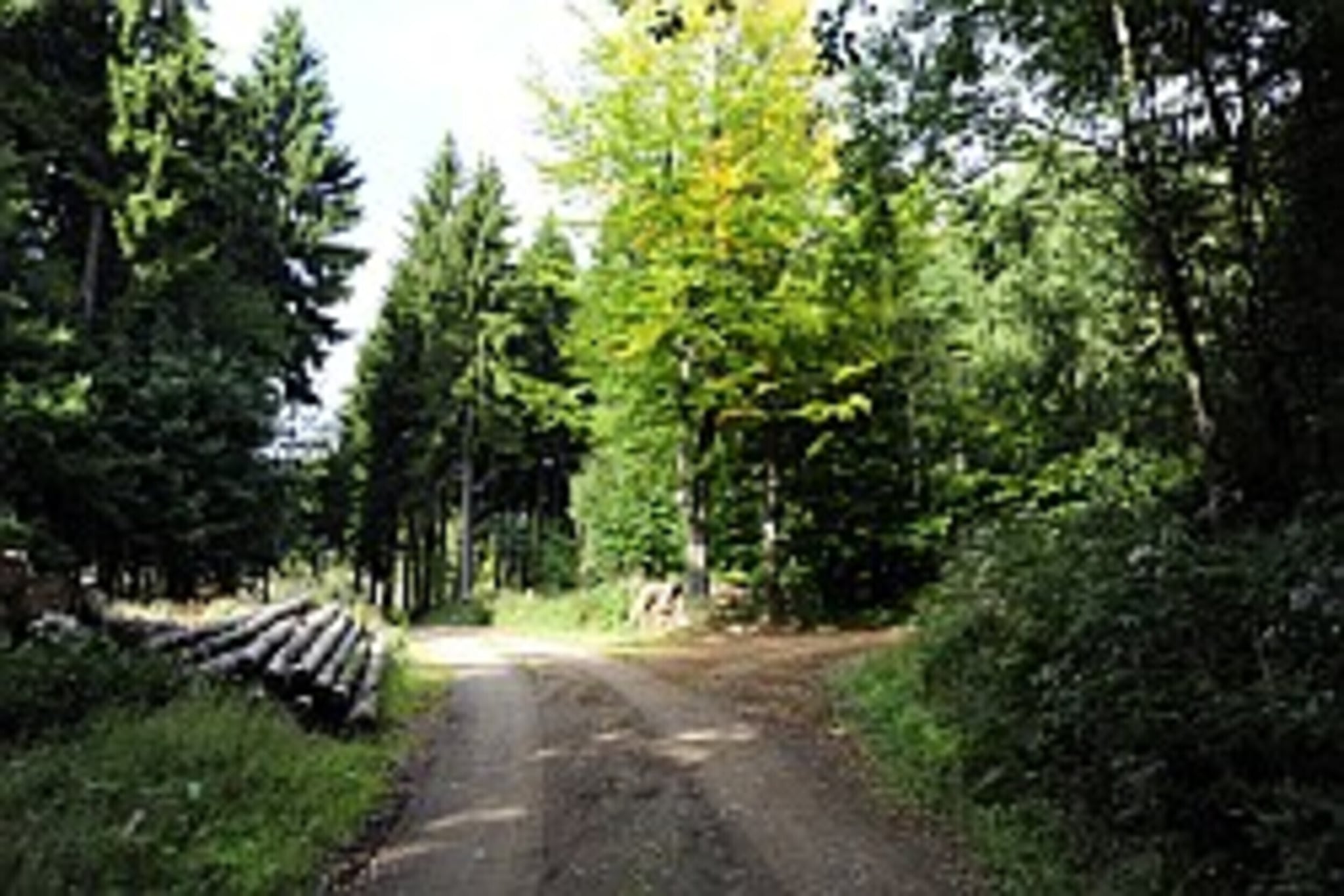 Ferienhaus in Wieda-Areas summer 5km
