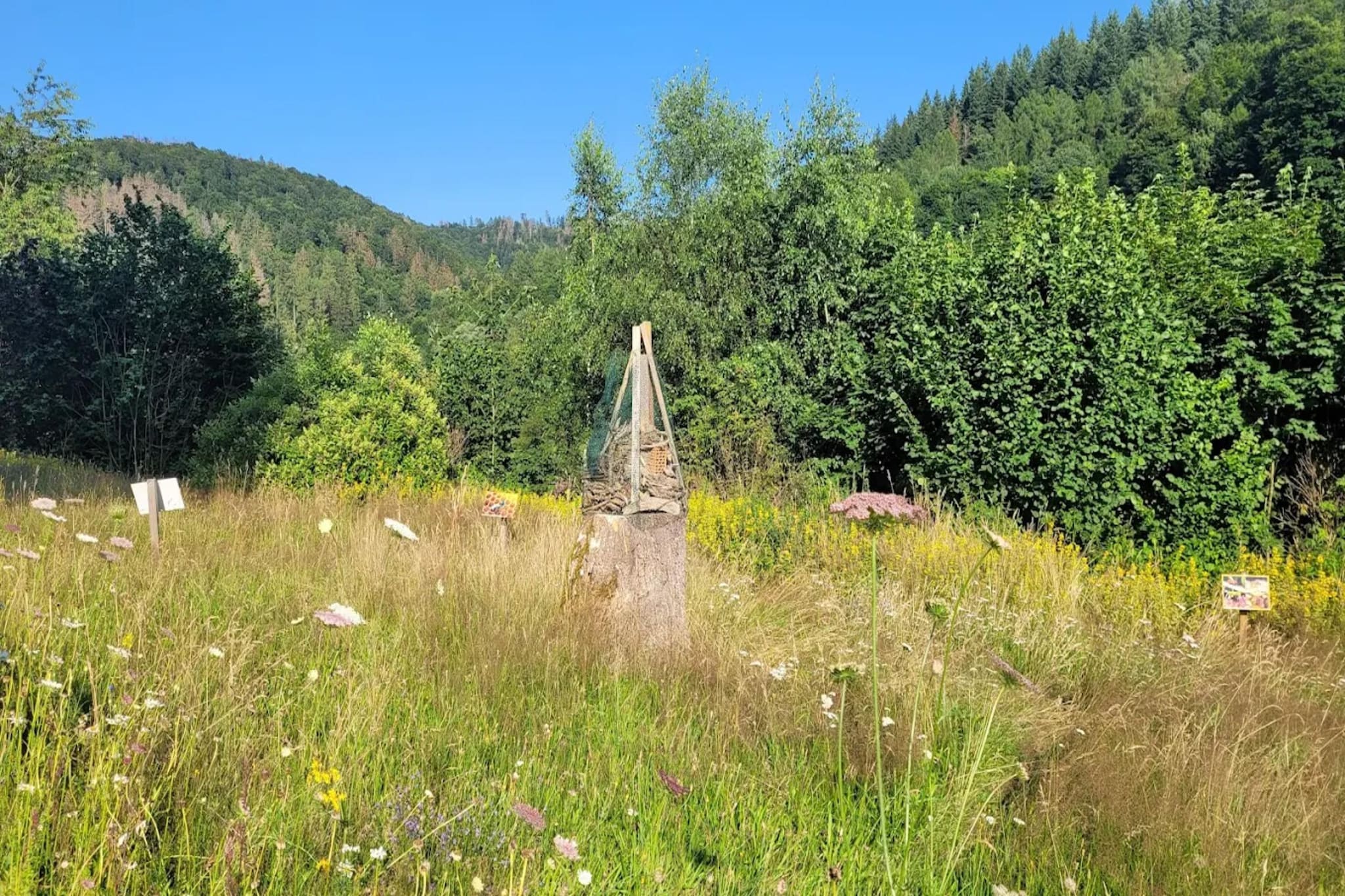 Ferienhaus in Wieda-Areas summer 5km