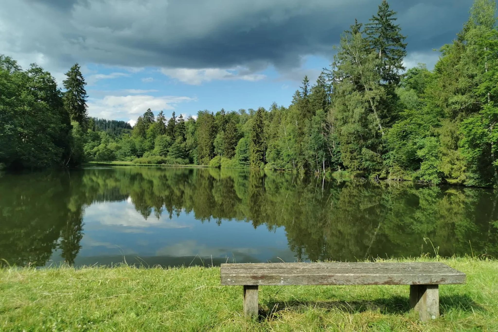 Ferienhaus in Wieda-Areas summer 20km