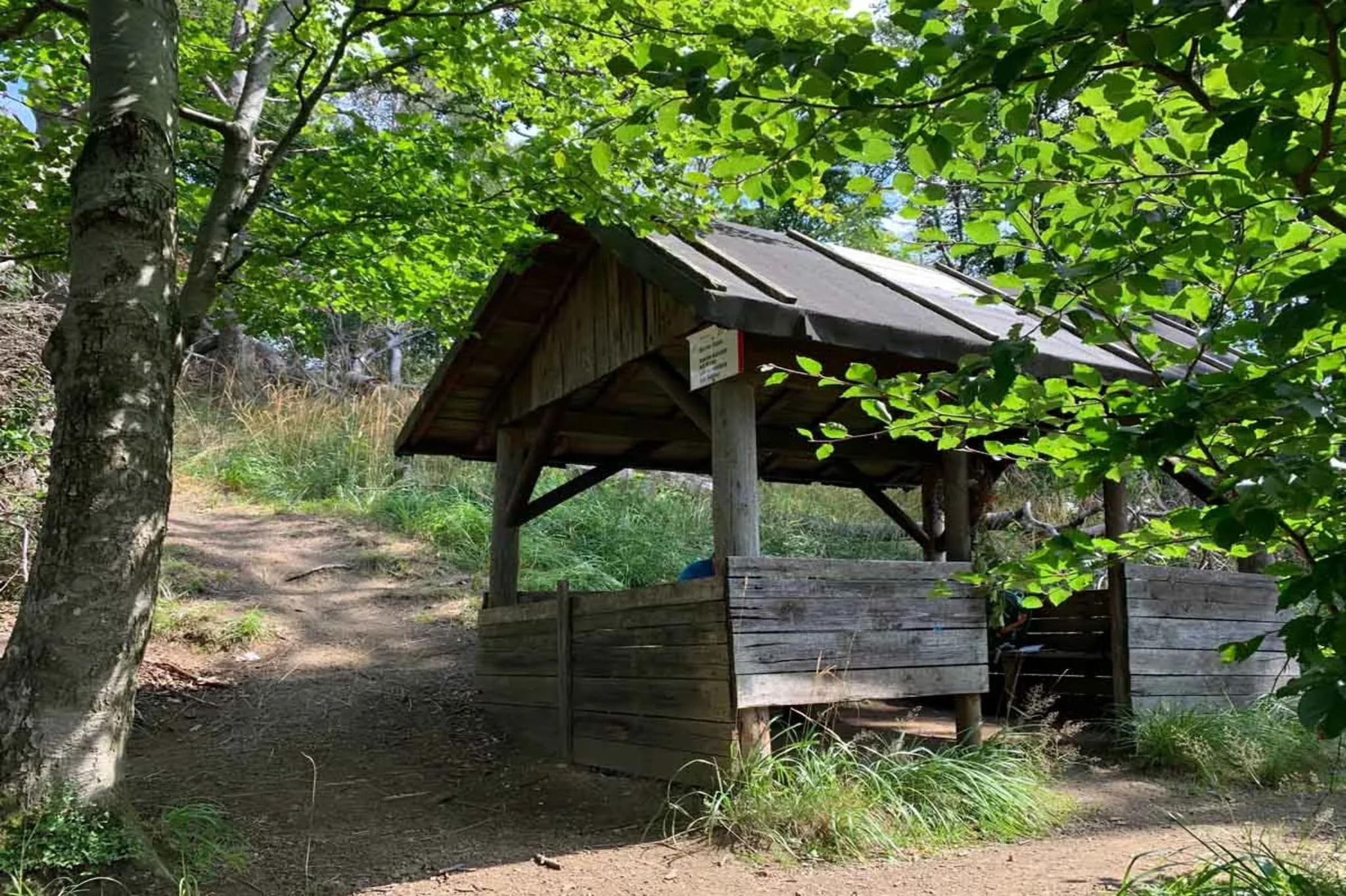 Ferienhaus in Wieda-Areas summer 5km