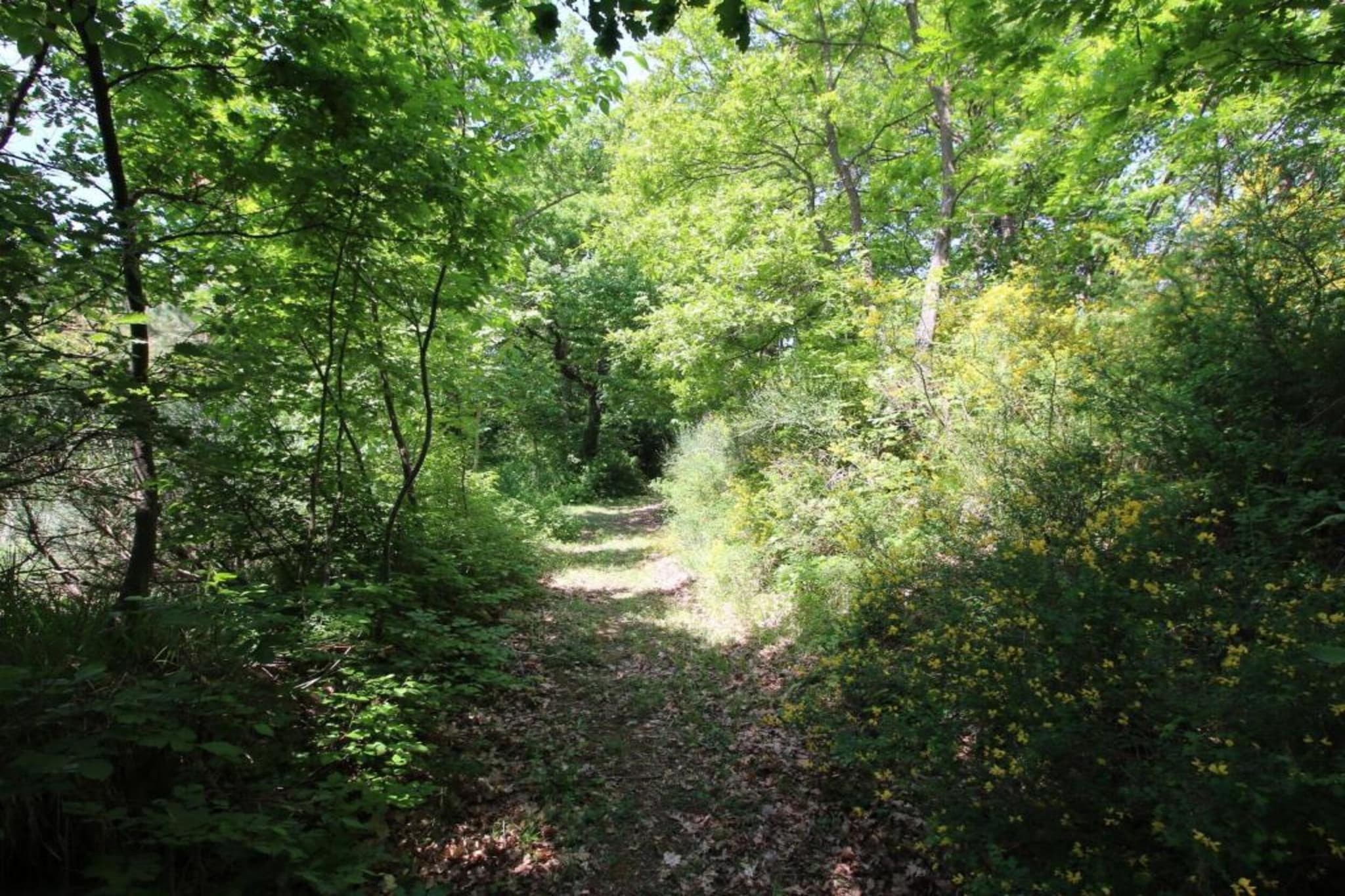 Cucciolo-Zones d'été à 20 km