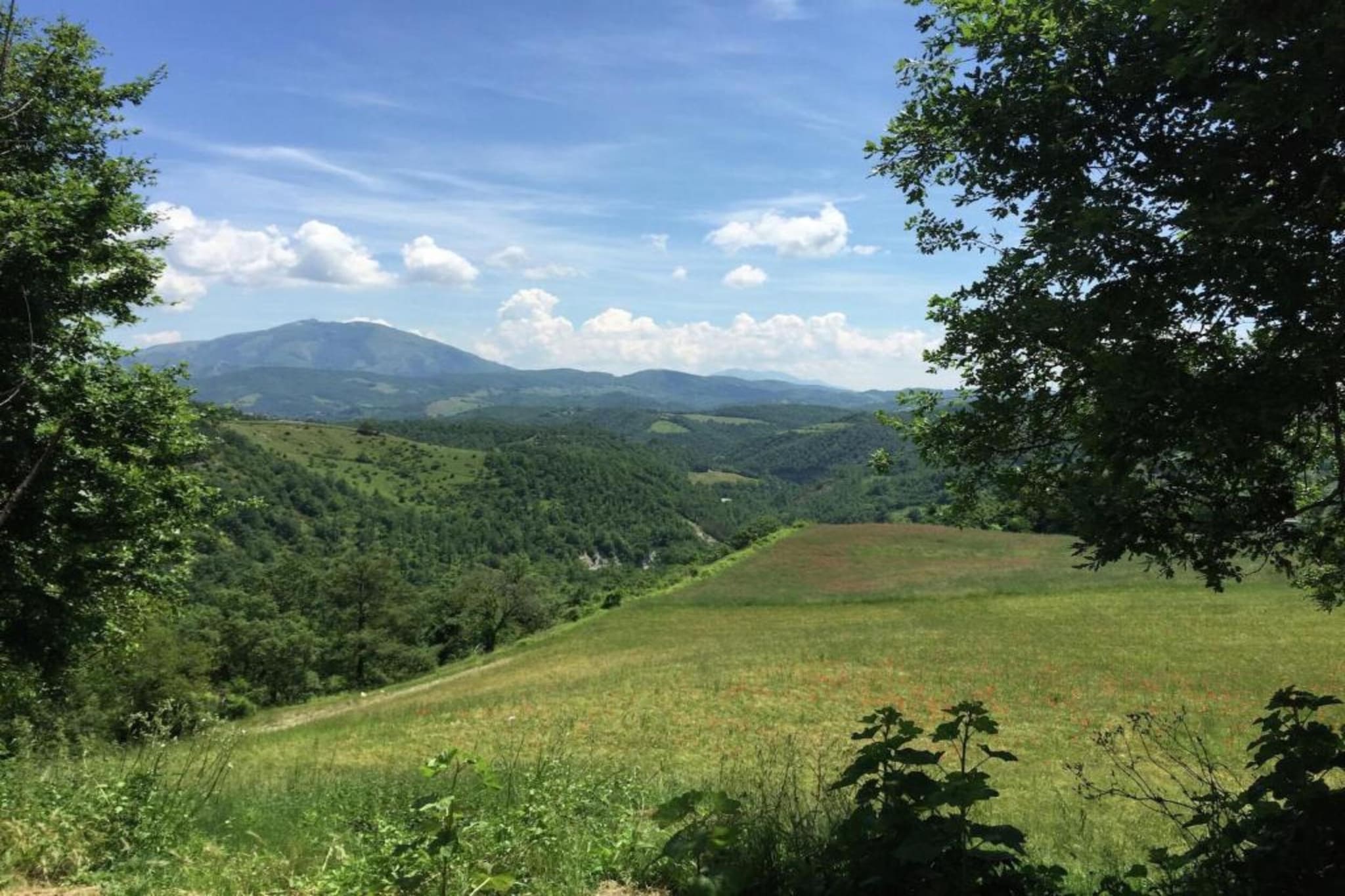 Cucciolo-Zones d'été à 20 km