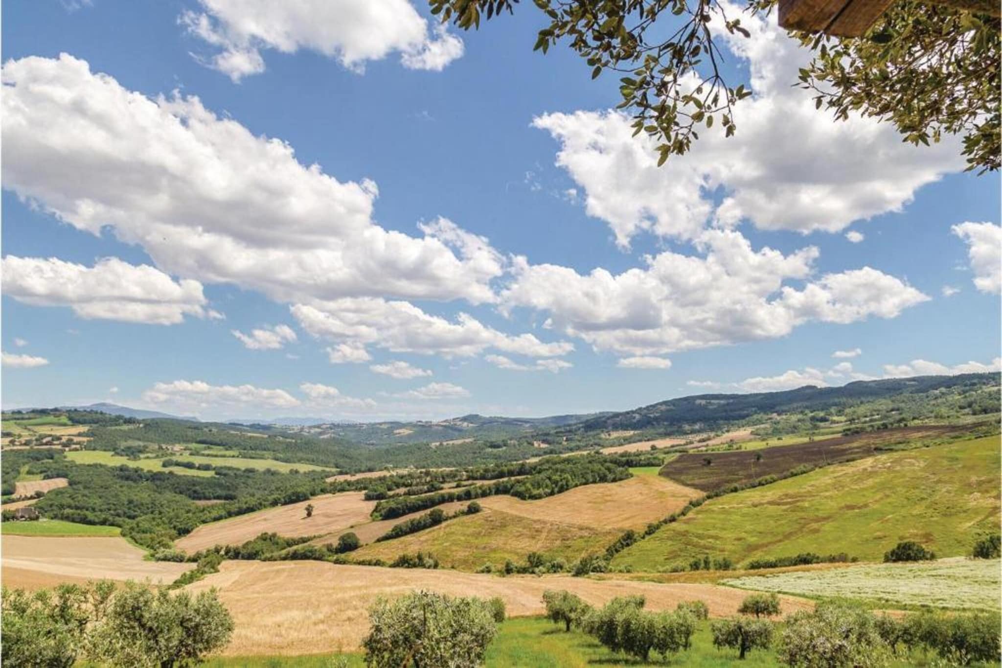 Cucciolo-Zones d'été à 20 km
