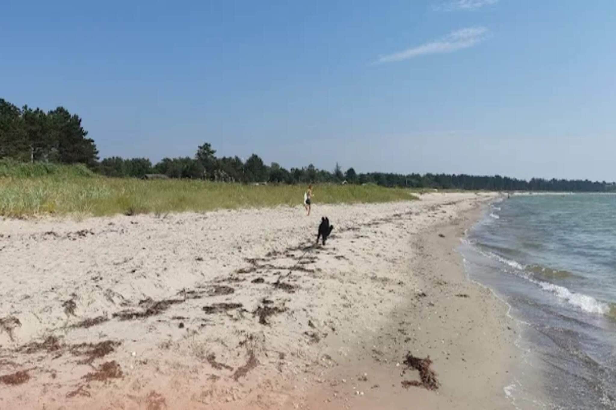 4 persoons vakantie huis in Knebel-Waterzicht