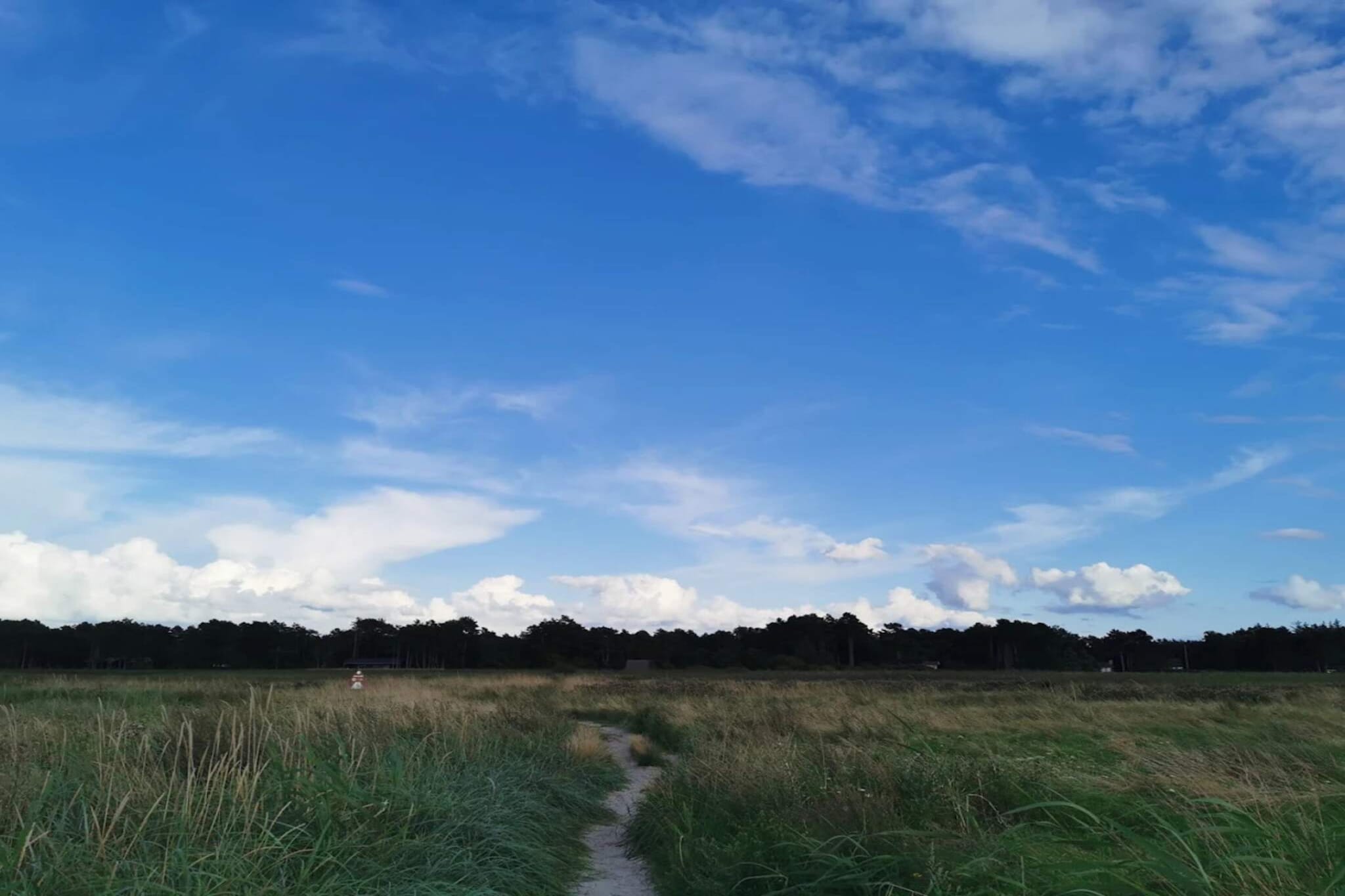 In Ellinge Lyng you will find this holiday home in a quiet holiday home area. The house contains a room with a double bed and two rooms with 90x200 cm bunk beds. Open kitchen, large living room with 2 sofa arrangements and access to 30 m2 large covered terrace. Here is the opportunity to stream own services and DR1 via Chromecast and internet. The area has several restaurants, football golf, mini golf, ice houses and shopping opportunities. Not for rent to youth groups.

A refundable deposit might be charged closer to your check-in date. This deposit covers utilities consumed during your stay and any additional services that may be taken. The final amount will be adjusted based on actual meter readings, actual usage of extra services, and any remaining balance will be refunded within 21 days after checkout.