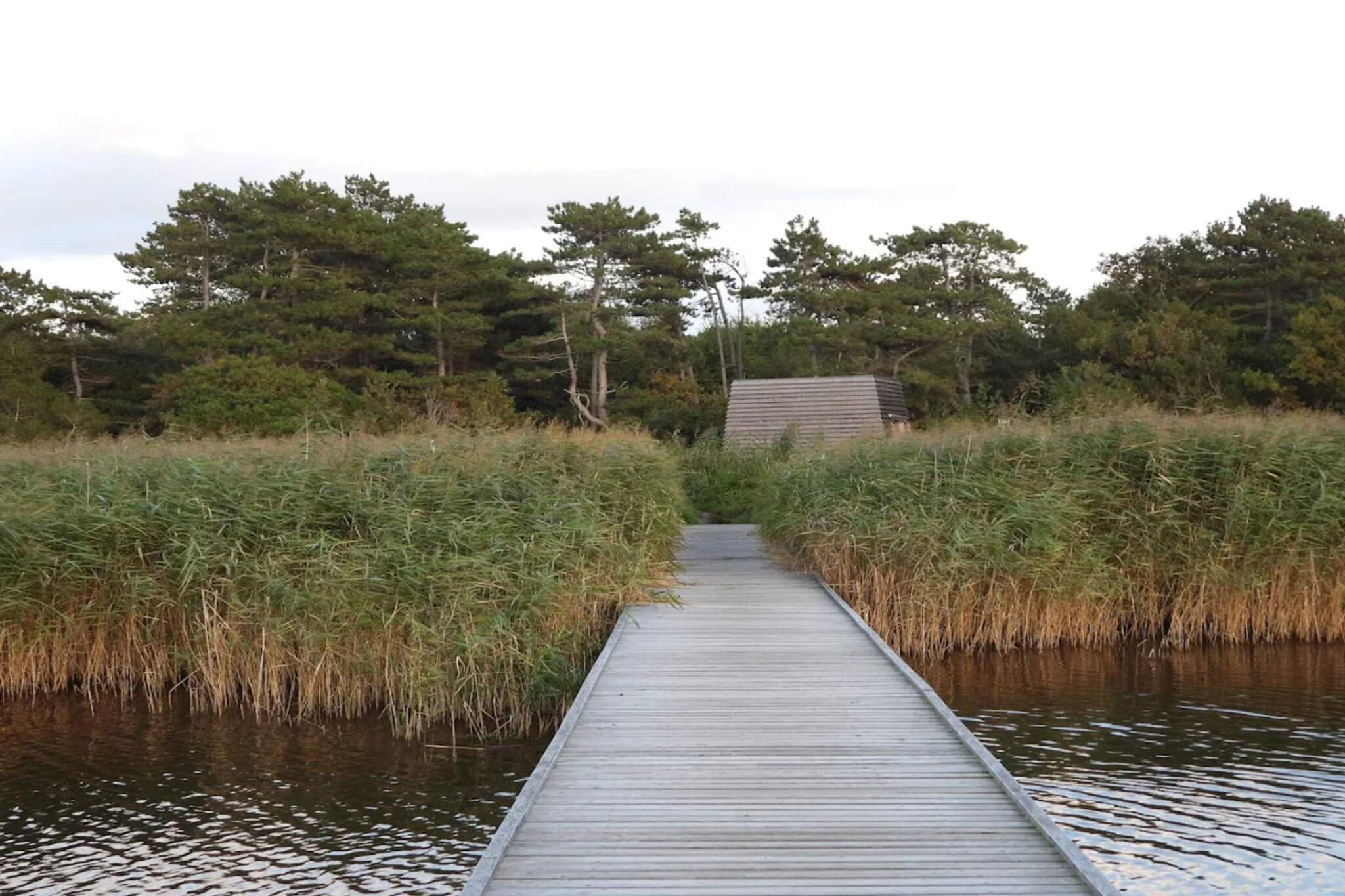 Maison de vacances pour 6 a Vig-Vue sur l'eau