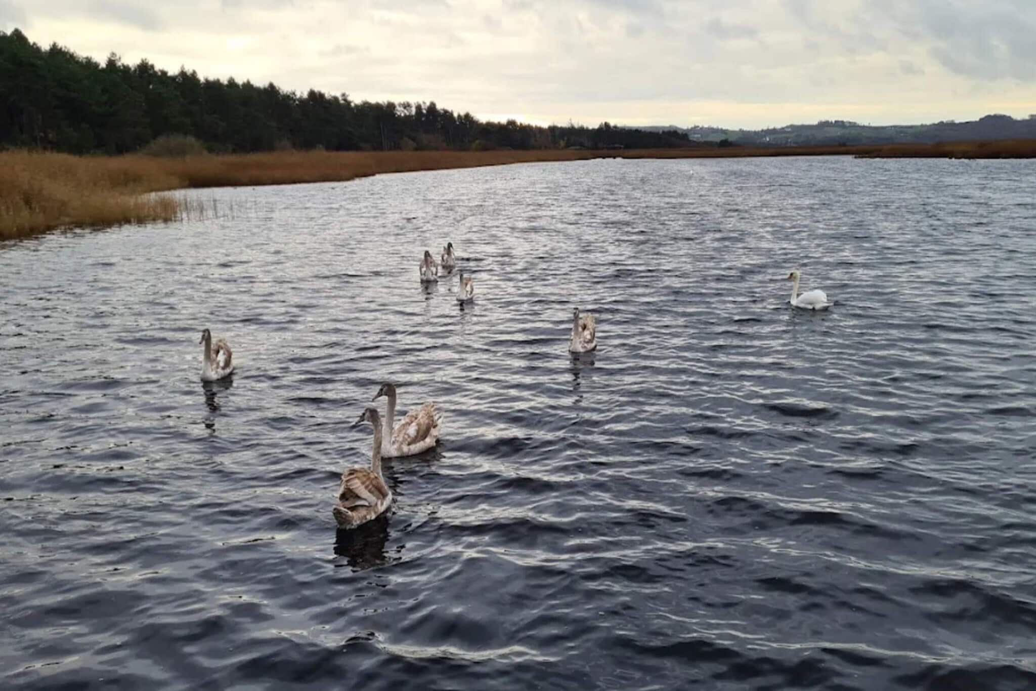 Maison de vacances pour 6 a Vig-Vue sur l'eau