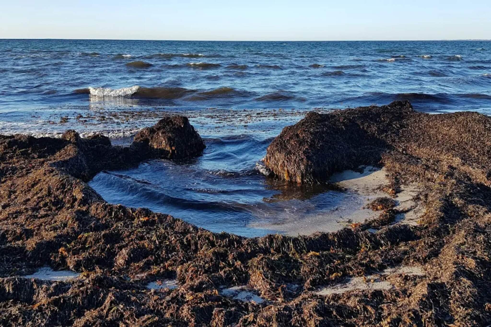 Maison de vacances pour 6 a Vig-Vue sur l'eau