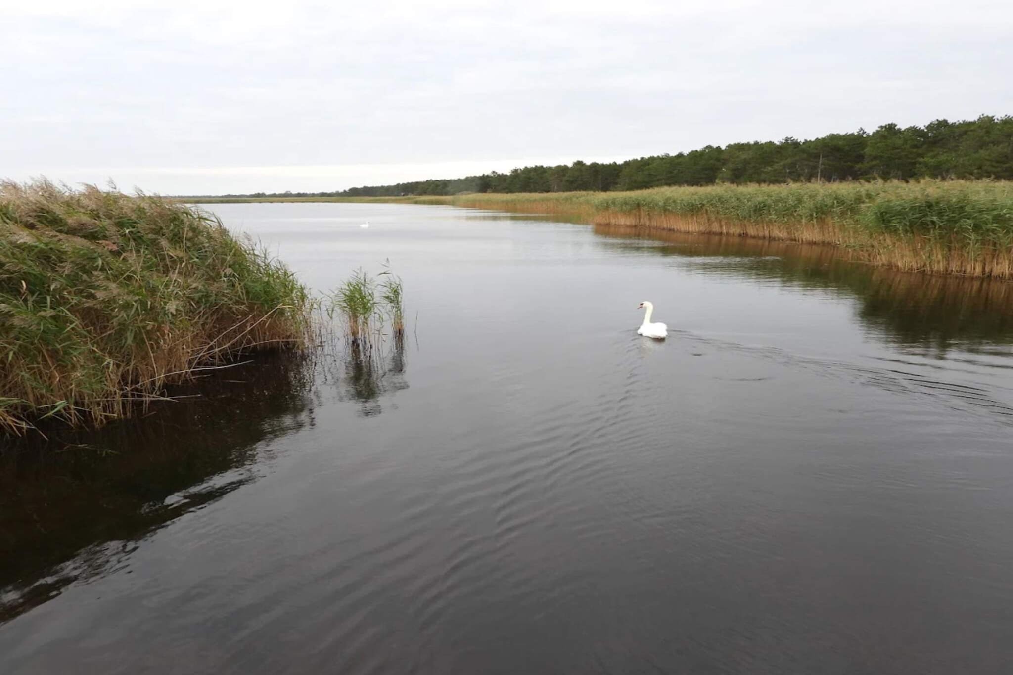 Maison de vacances pour 6 a Vig-Vue sur l'eau