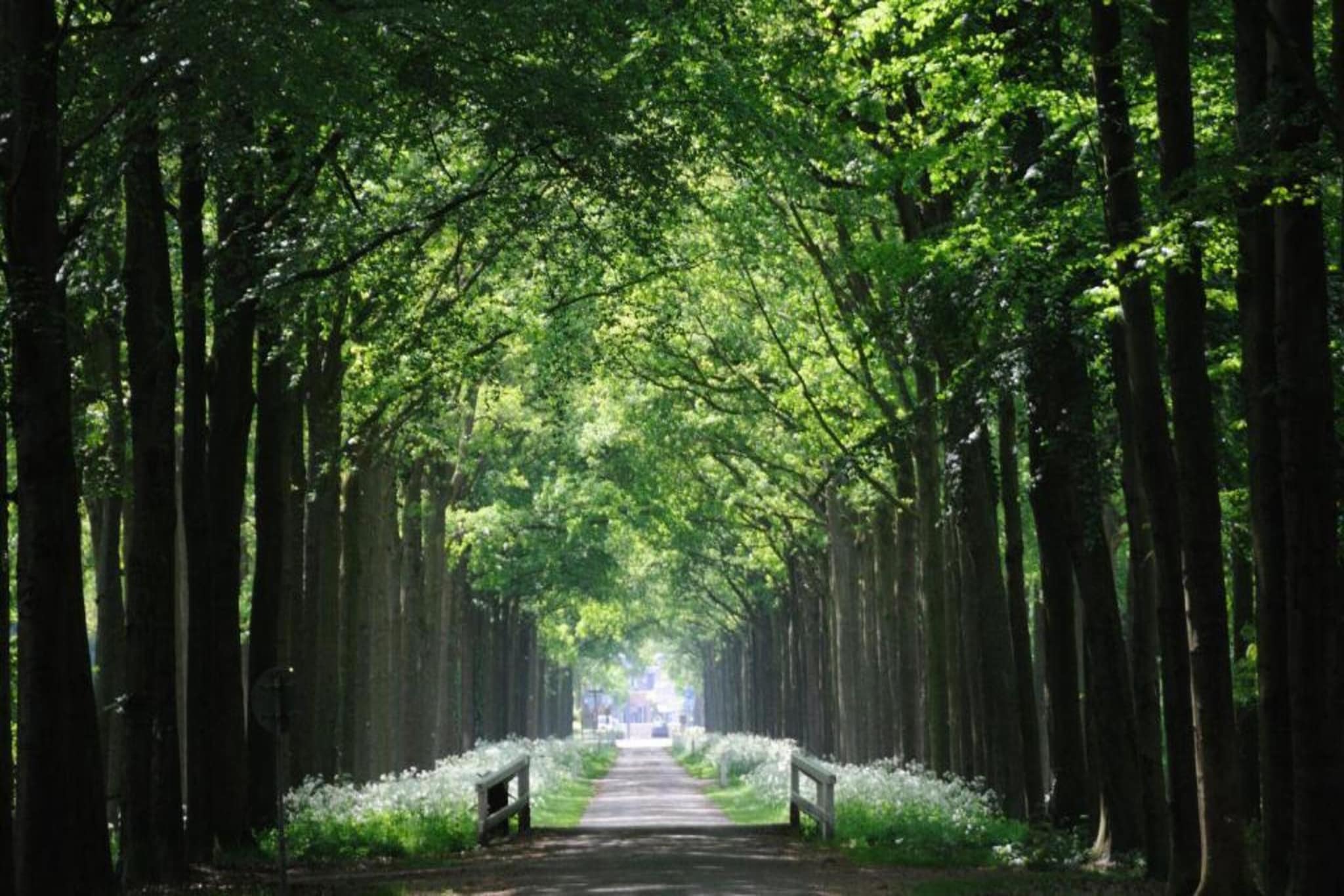 Vakantiepark Mölke 31-Gebieden zomer 20km