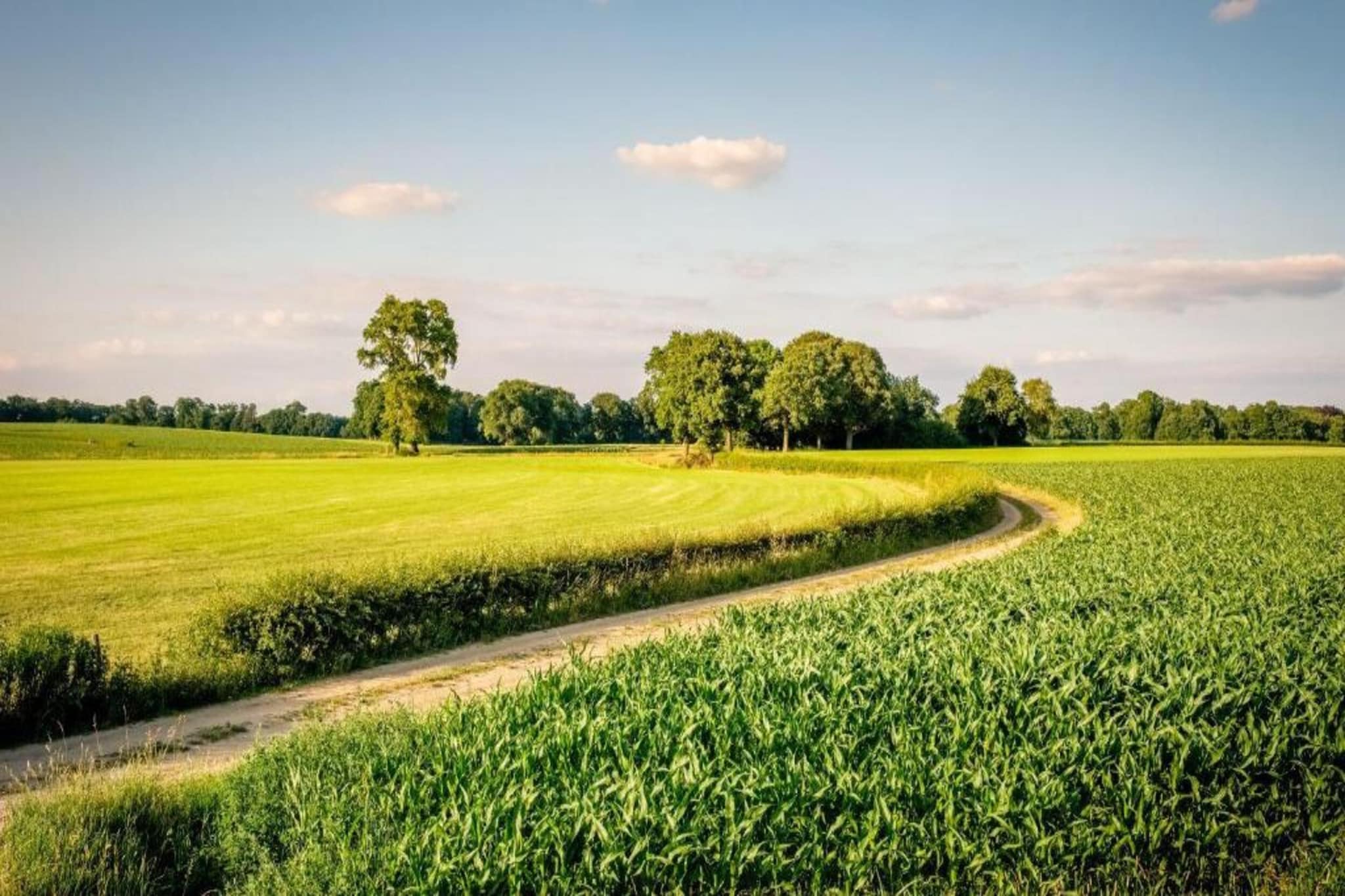Vakantiepark Mölke 32-Gebieden zomer 20km