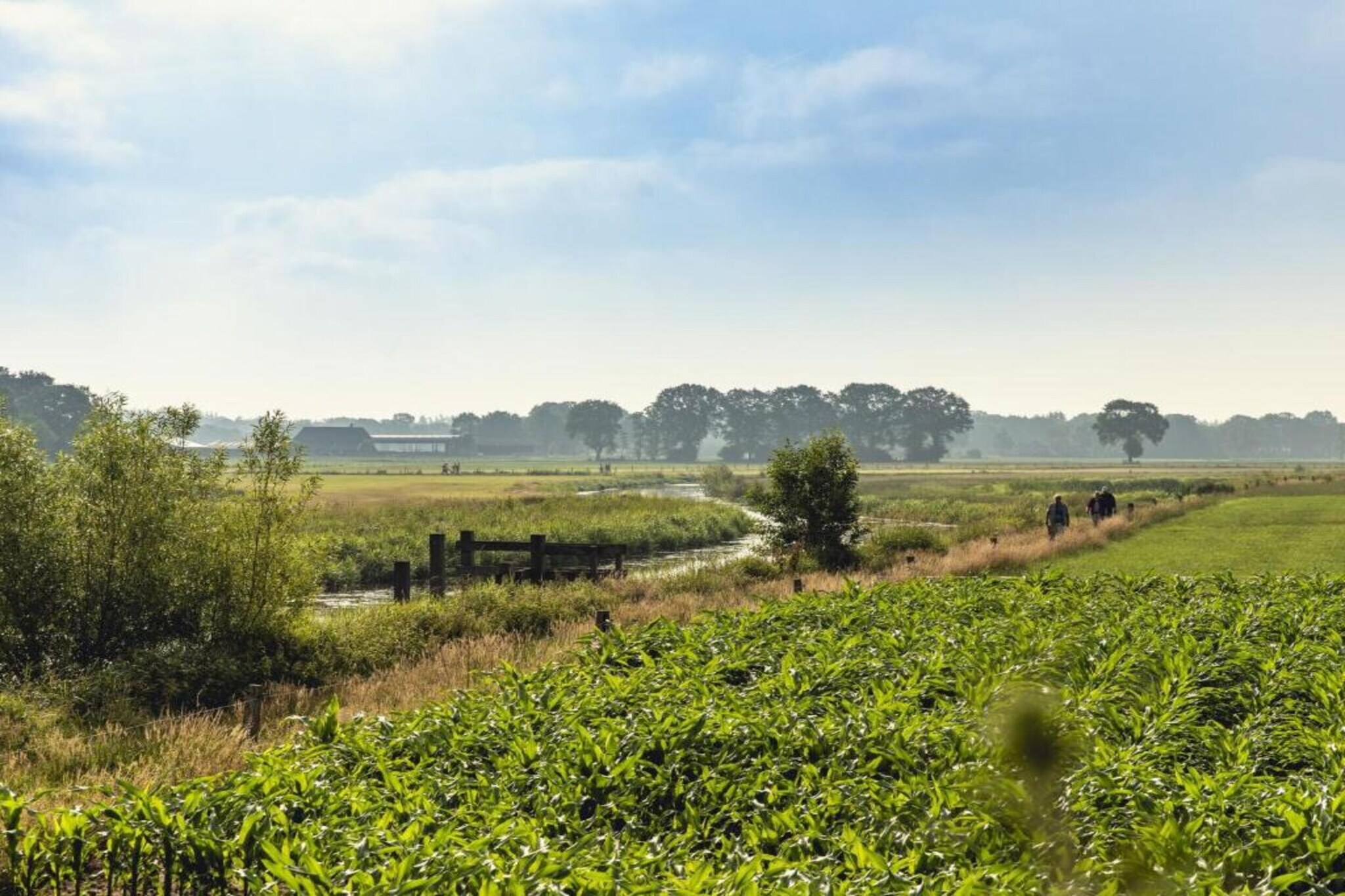Vakantiepark Mölke 33-Gebieden zomer 20km