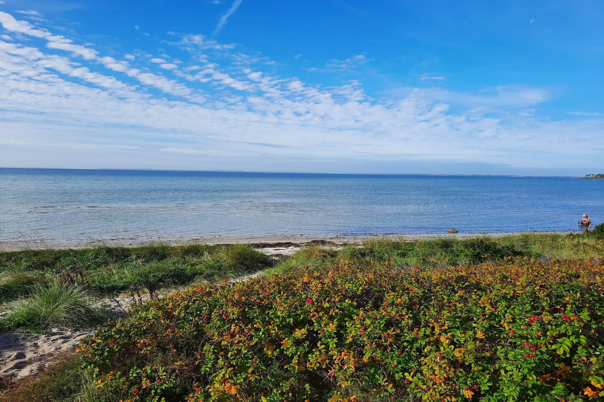 Maison de vacances pour 4 a Jægerspris - Vue sur l'eau