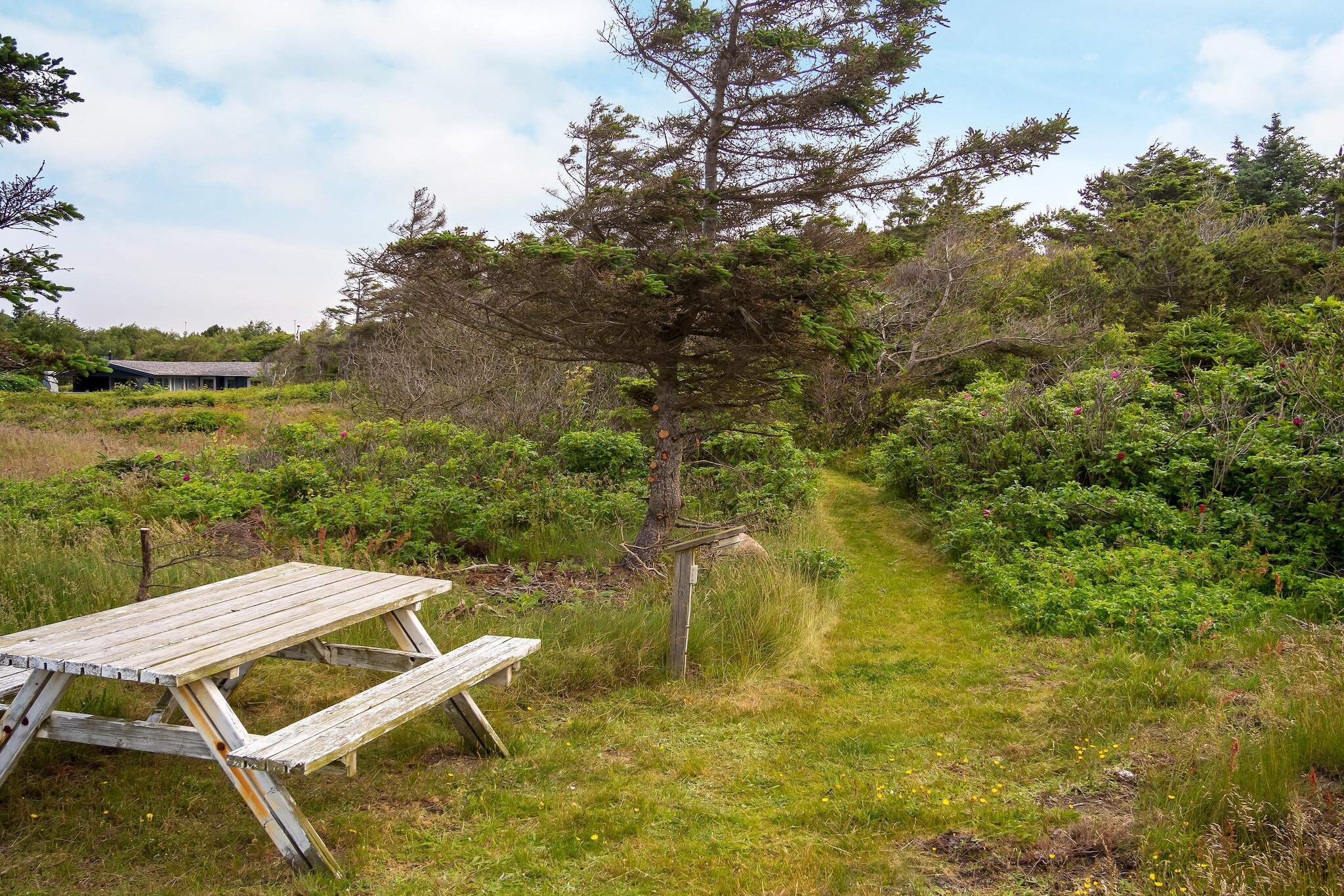 6 persoons vakantie huis in Hurup Thy - Buitenlucht