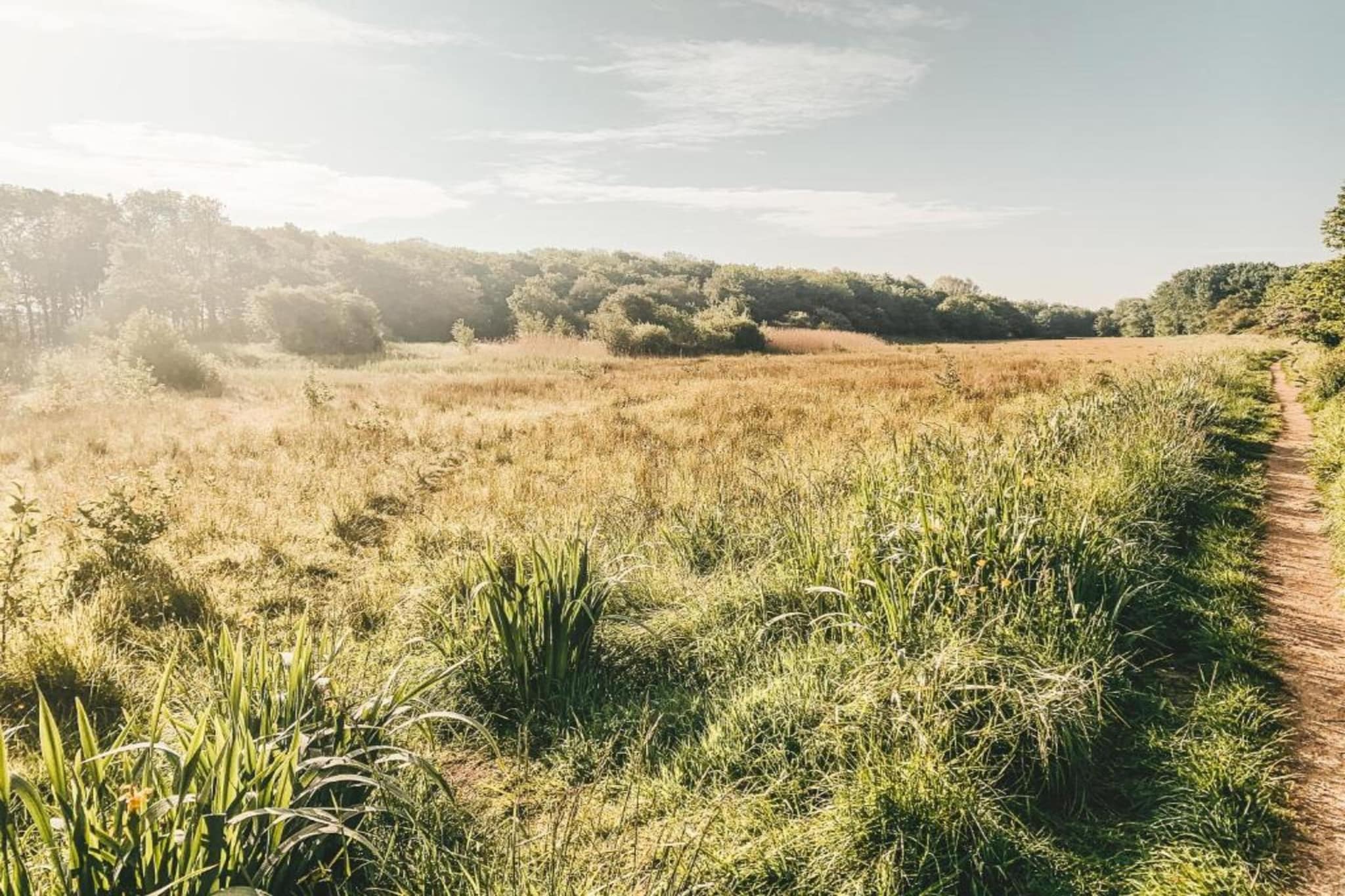 Vakantiepark Duinzicht 2-Gebiete Sommer 20 km