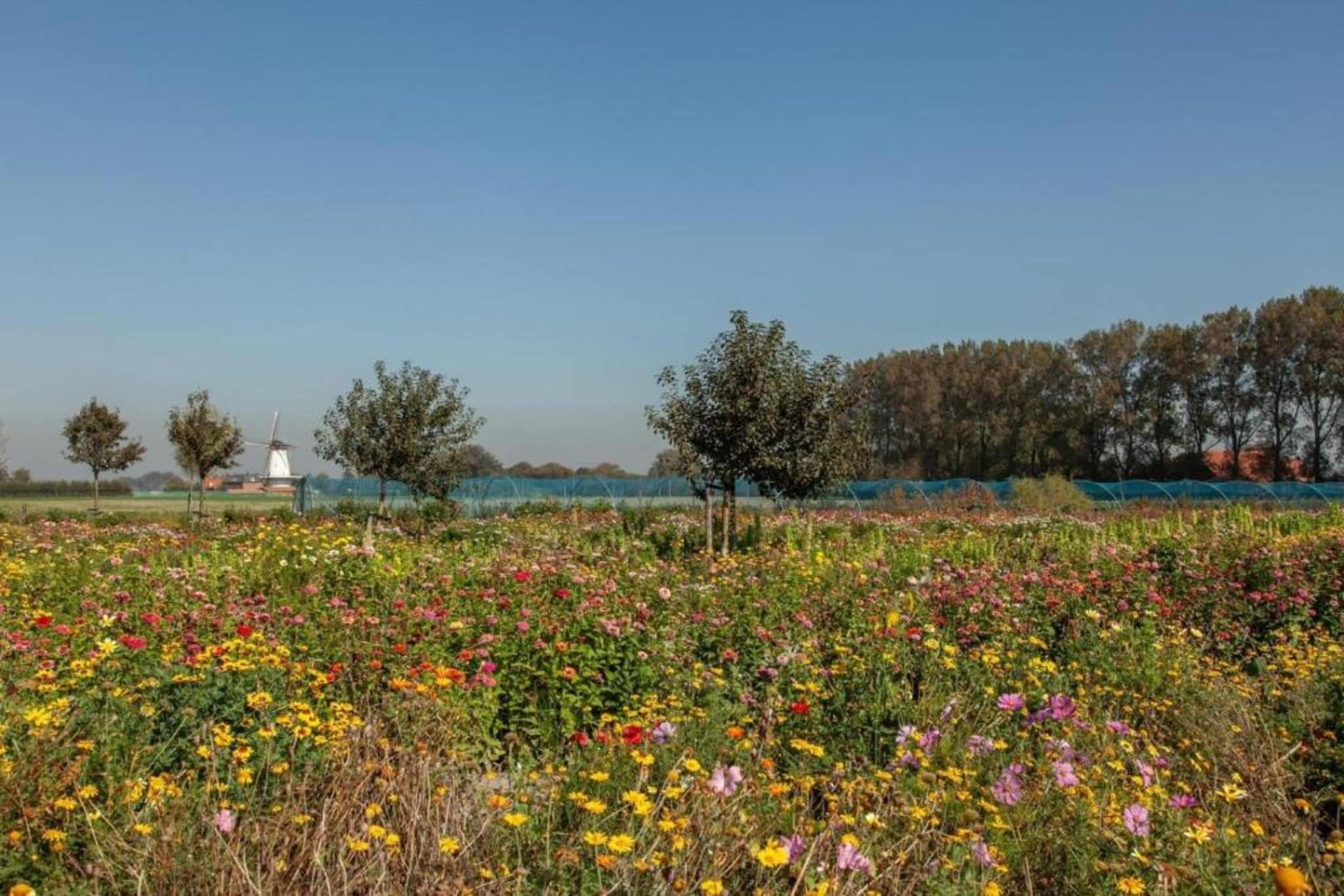 Vakantiepark Duinzicht 2-Gebiete Sommer 20 km