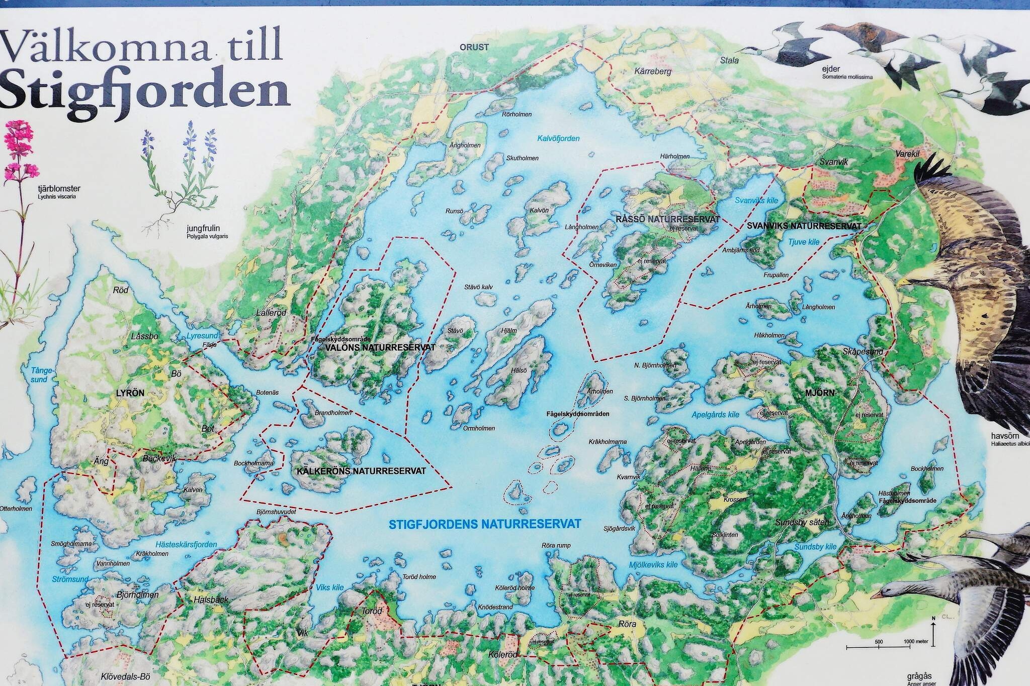 5 persoons vakantie huis in Nösund - Niet-getagd