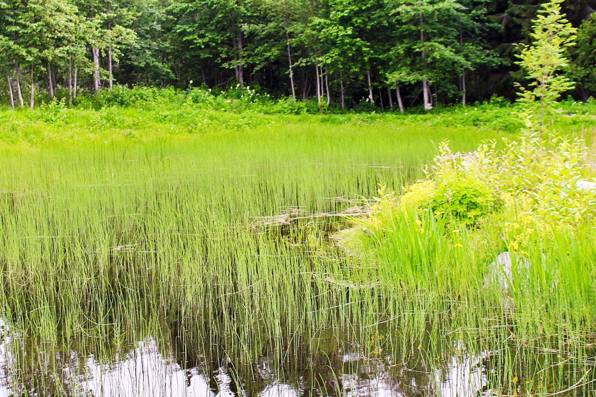 9 persoons vakantie huis in KÄLARNE-Buitenlucht