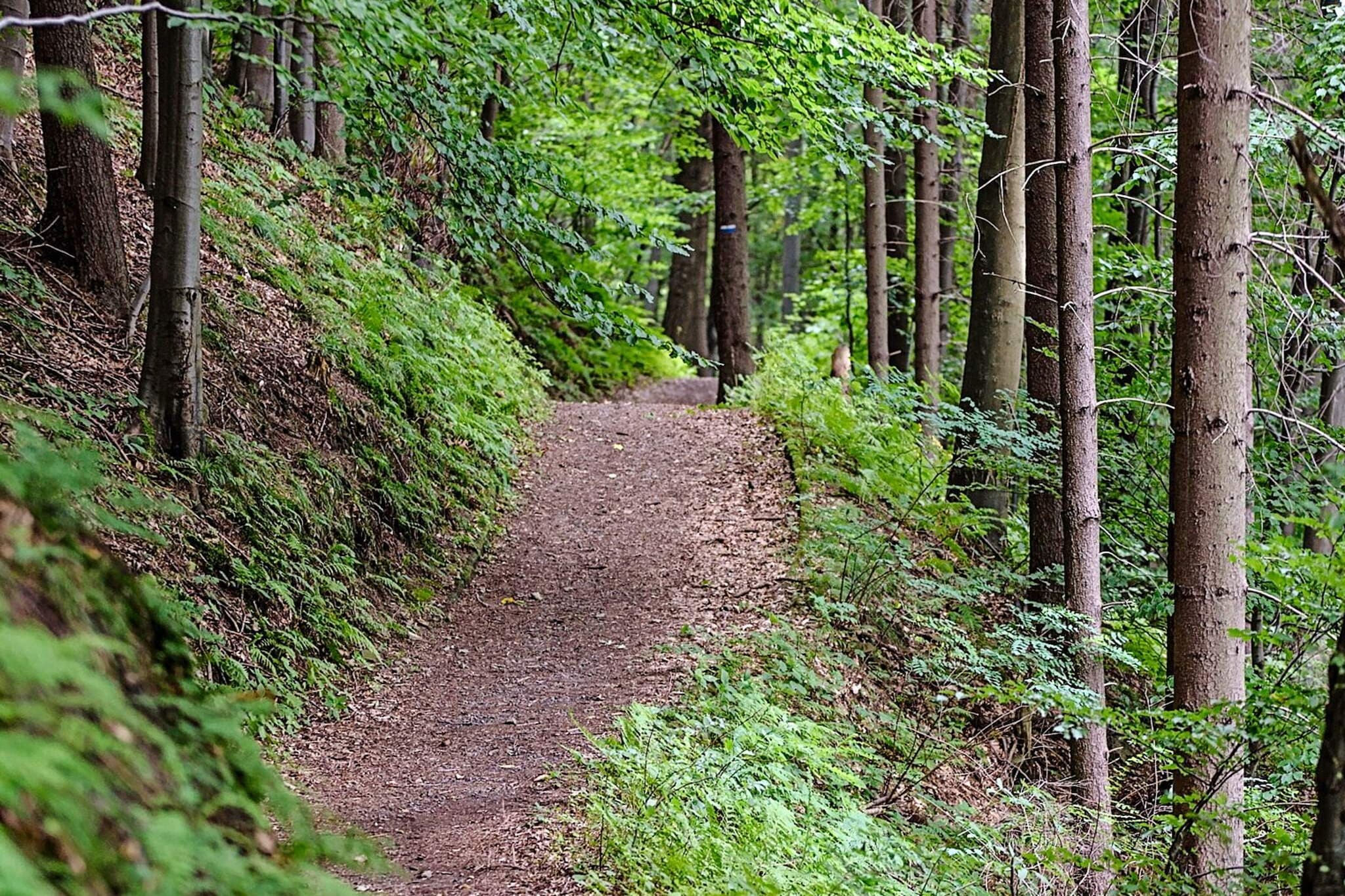 9 persoons vakantie huis in KÄLARNE-Niet-getagd