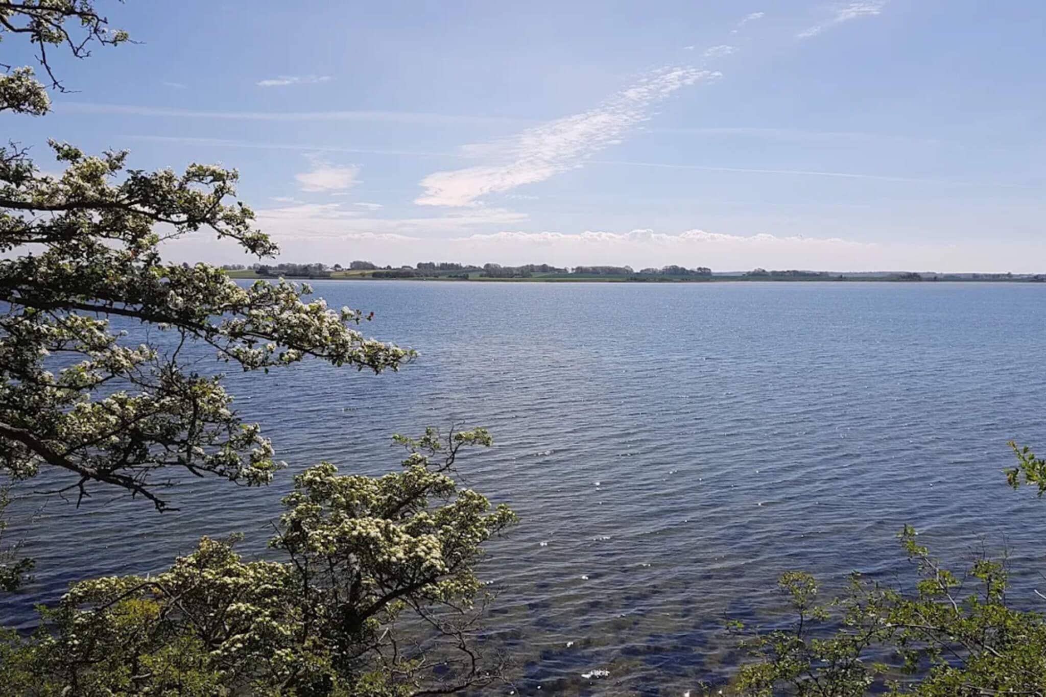 4 person holiday home in Odder-Water view