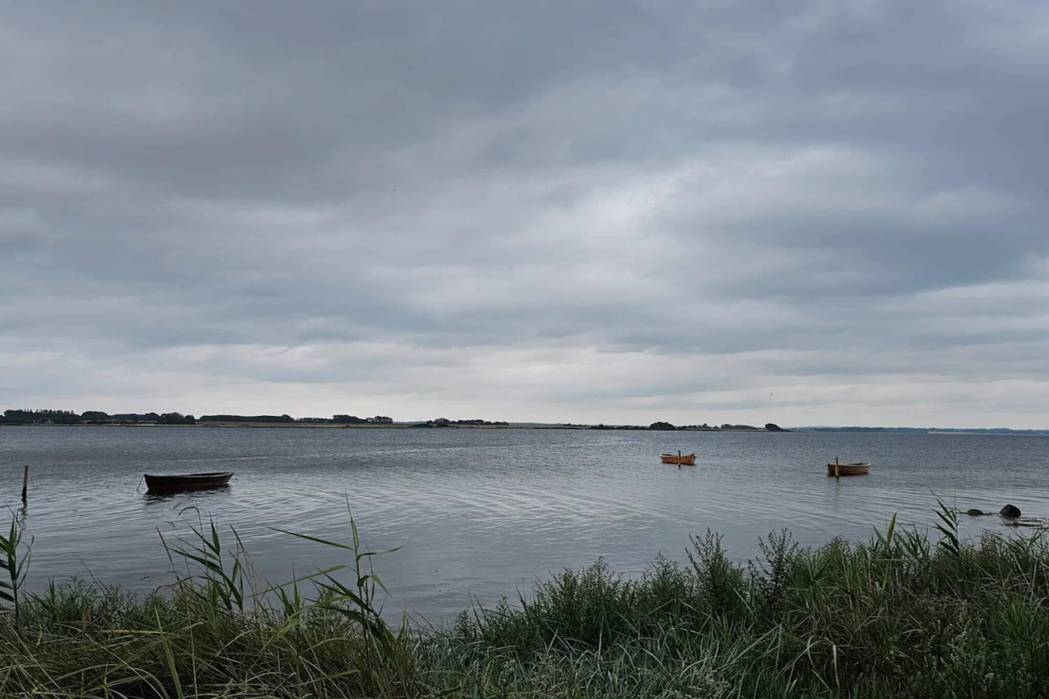 4 person holiday home in Odder-Water view