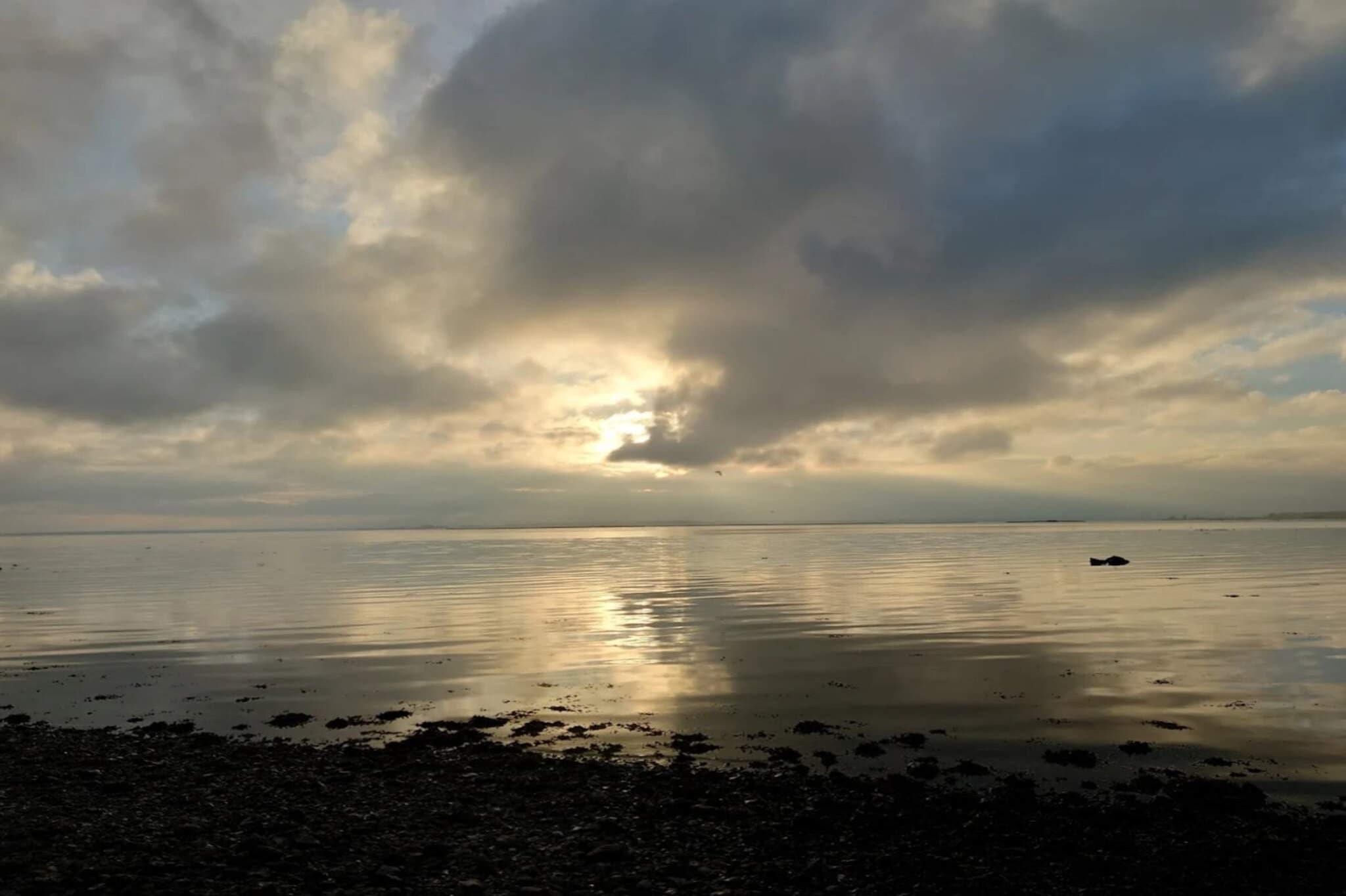 4 person holiday home in Odder-Water view