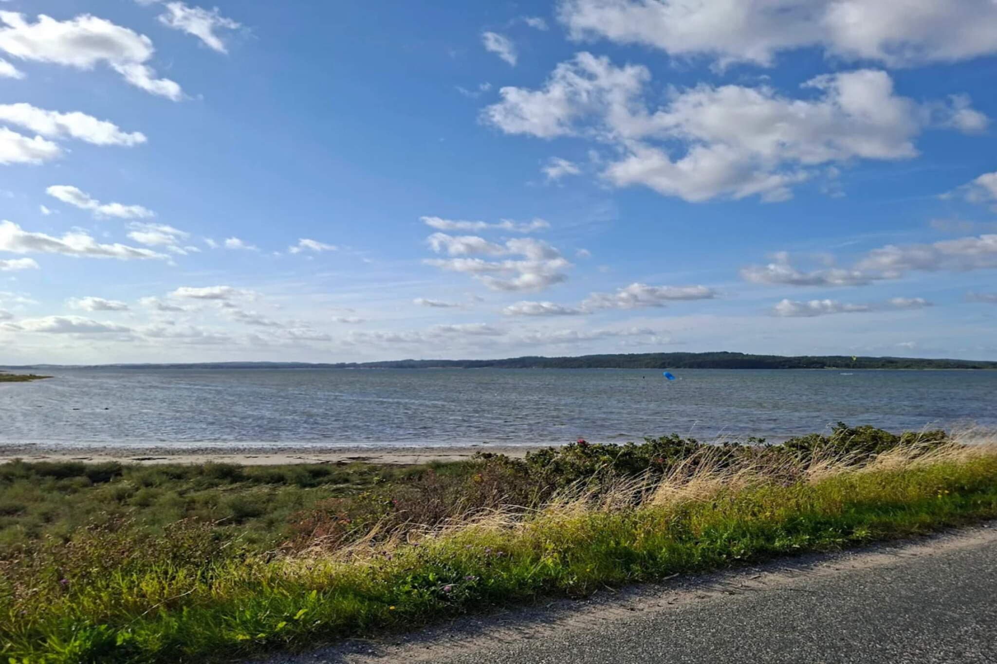 4 person holiday home in Odder-Water view