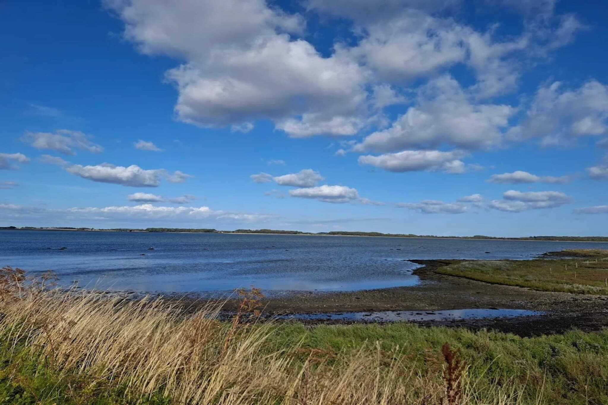 4 person holiday home in Odder-Water view