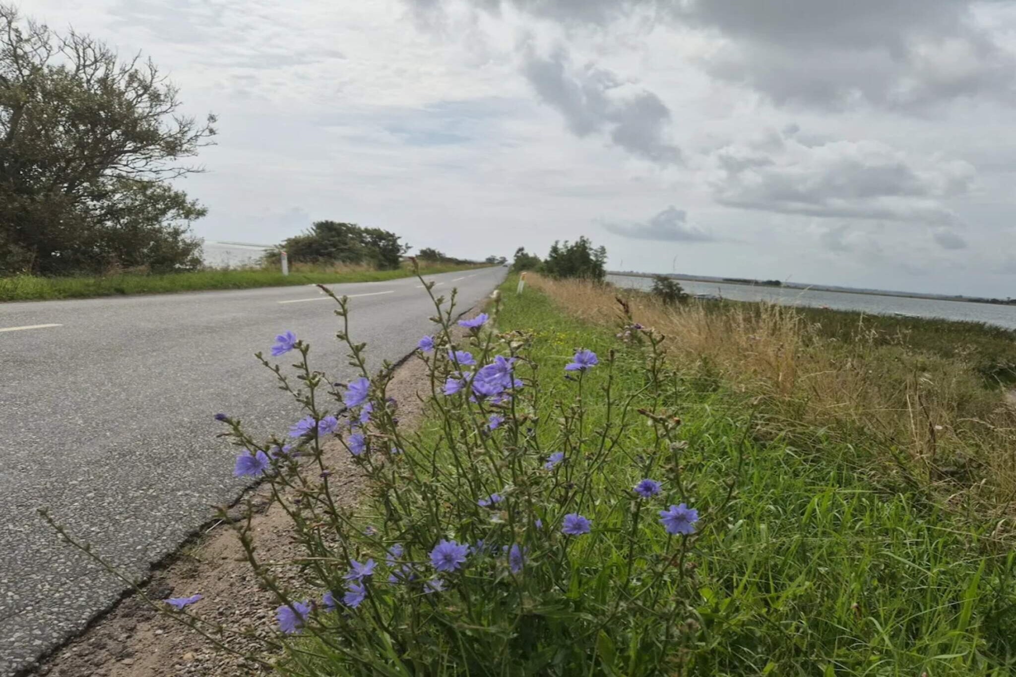4 person holiday home in Odder-Water view