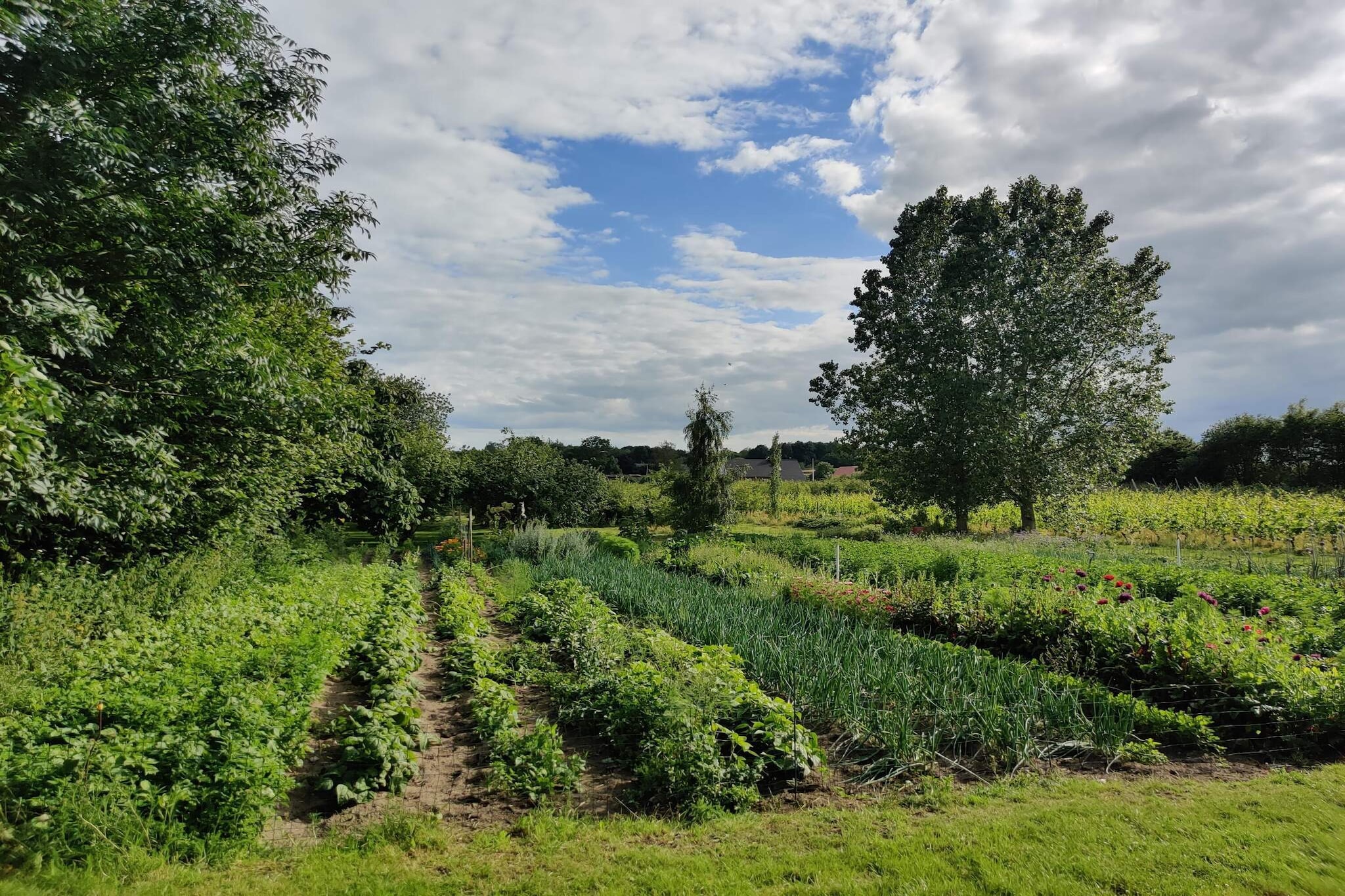 4 Personen Ferienhaus in Odder-Nicht zugeordnet