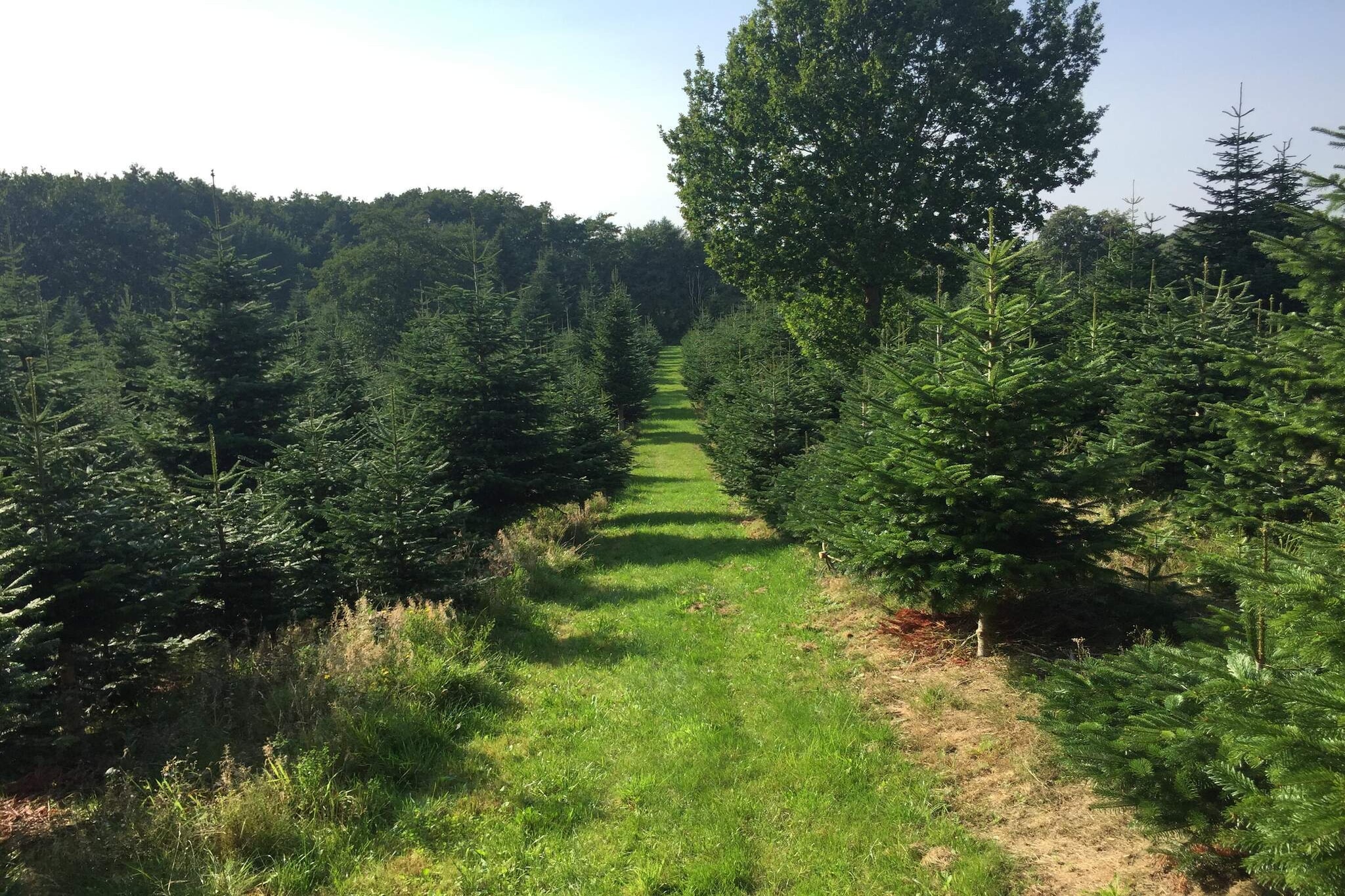 4 Personen Ferienhaus in Odder-Nicht zugeordnet