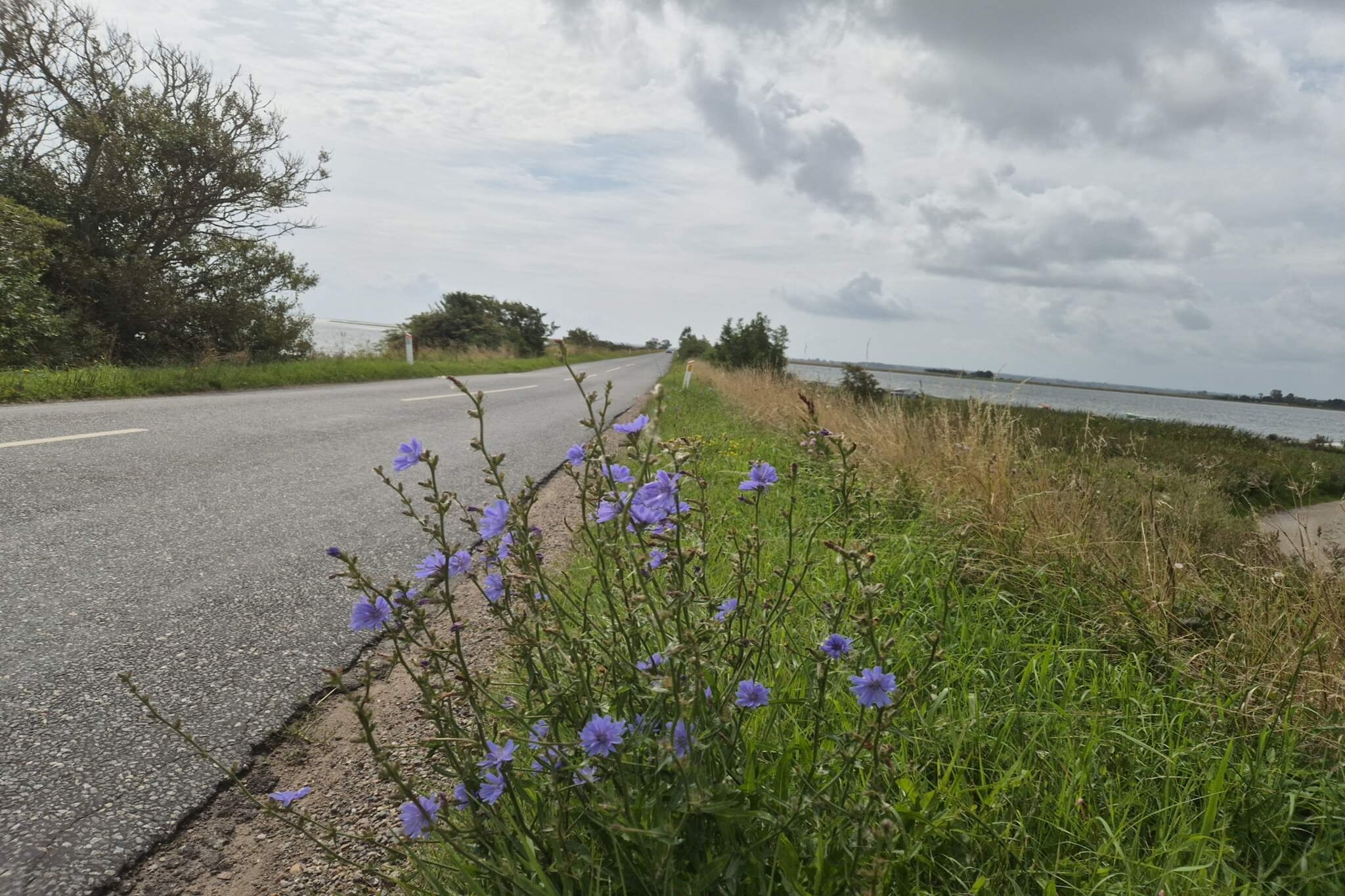 4 Personen Ferienhaus in Odder-Wasserblick