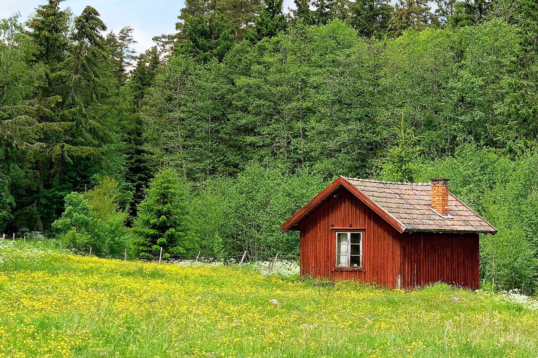 2 person holiday home in NÄSSJÖ - Outdoor