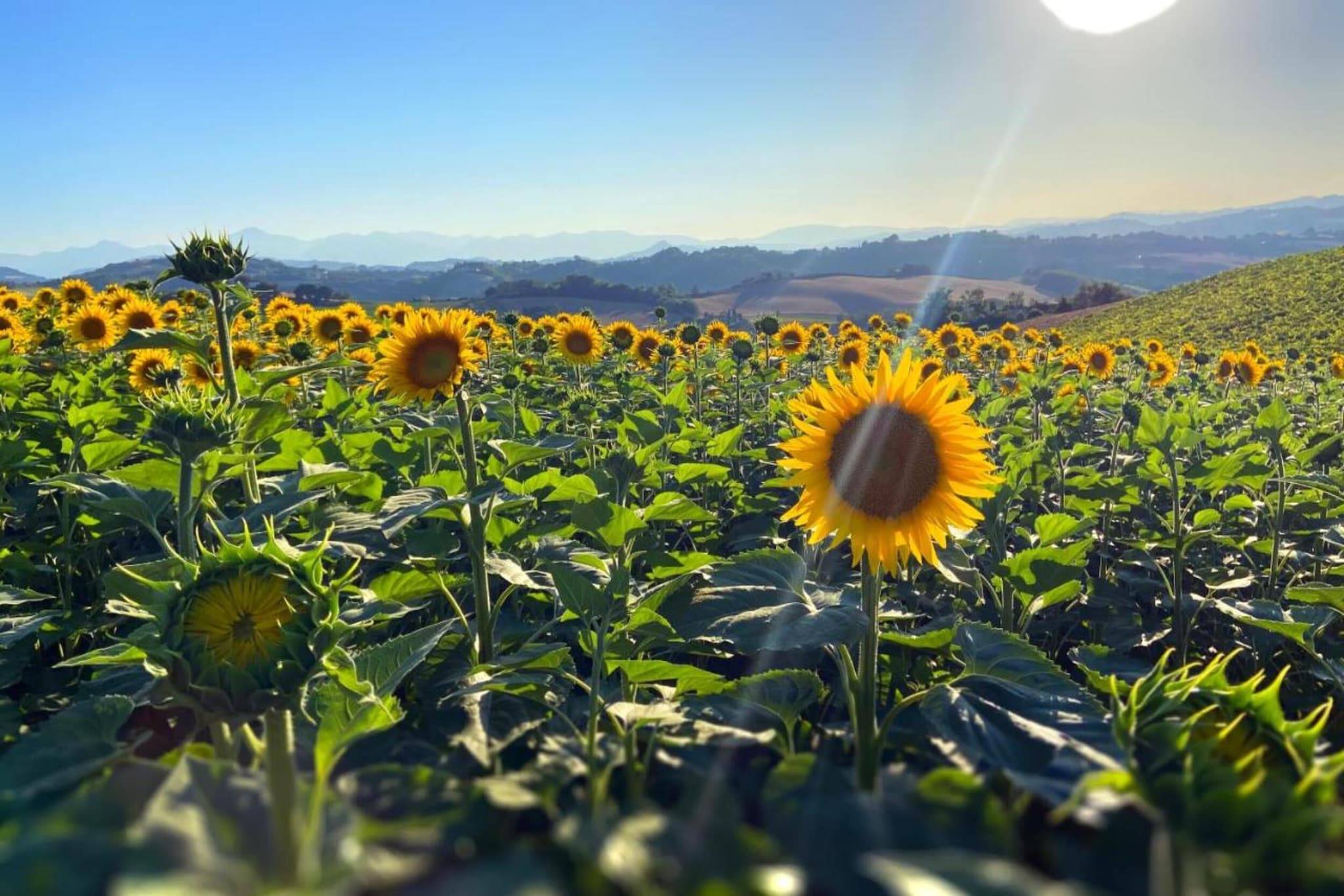 Raggio di Sole-Gebieden zomer 20km