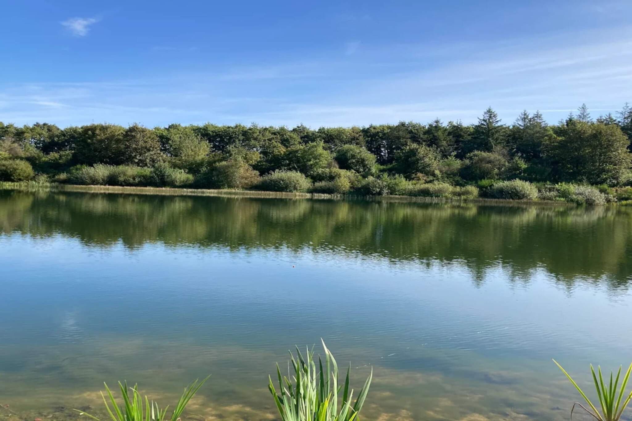 Water View