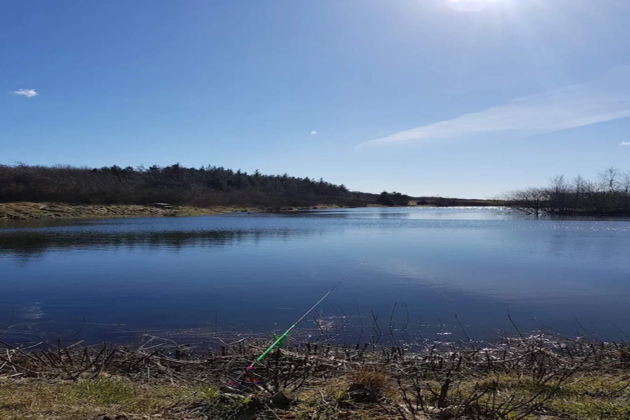 Water View