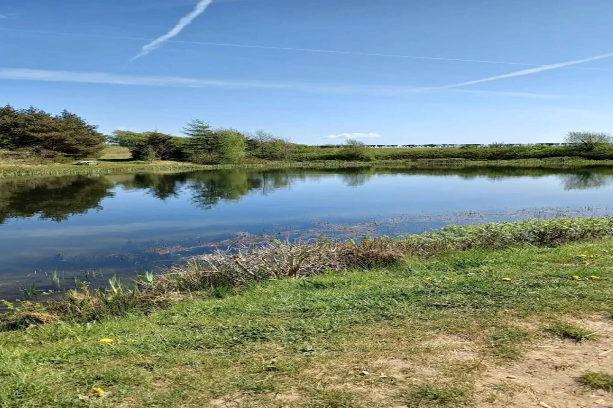 Water View