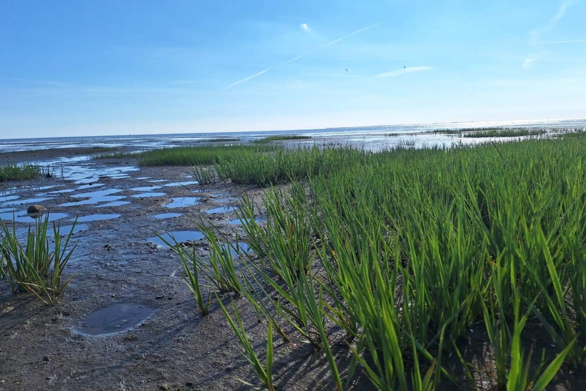 6 Personen Ferienhaus in Esbjerg V-Wasserblick