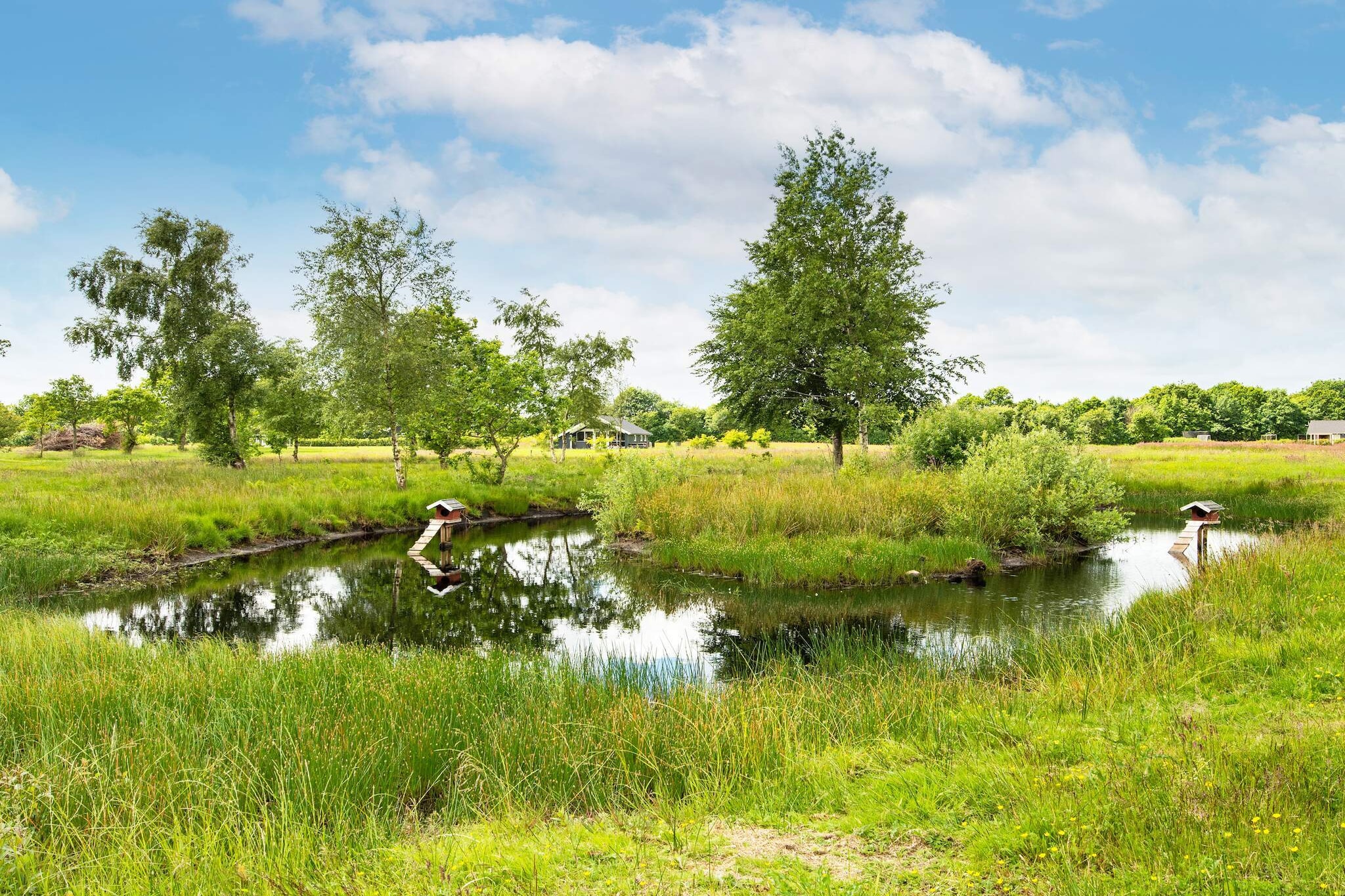 10 persoons vakantie huis in Ansager
