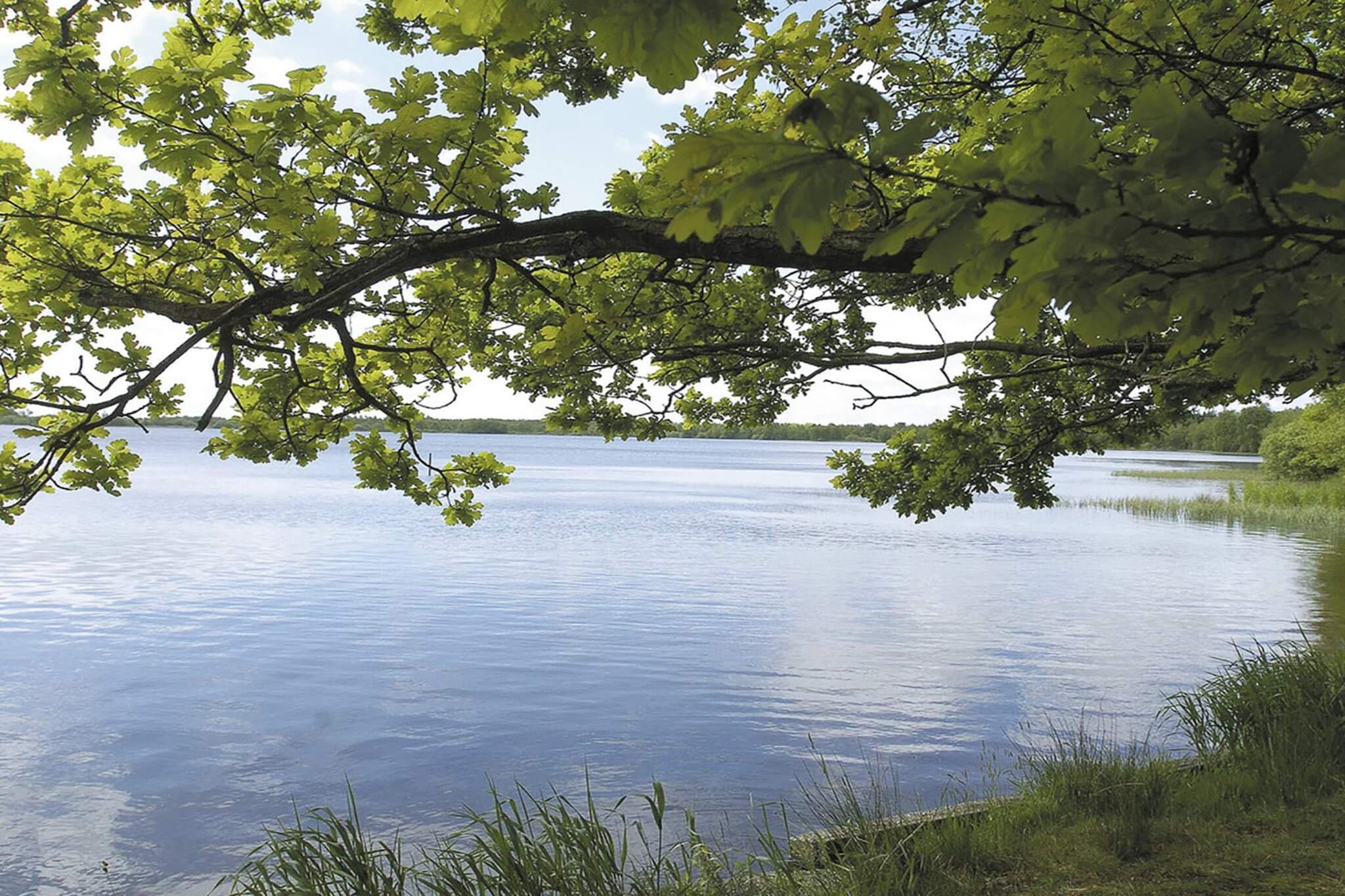 8 persoons vakantie huis in Ansager-Waterzicht