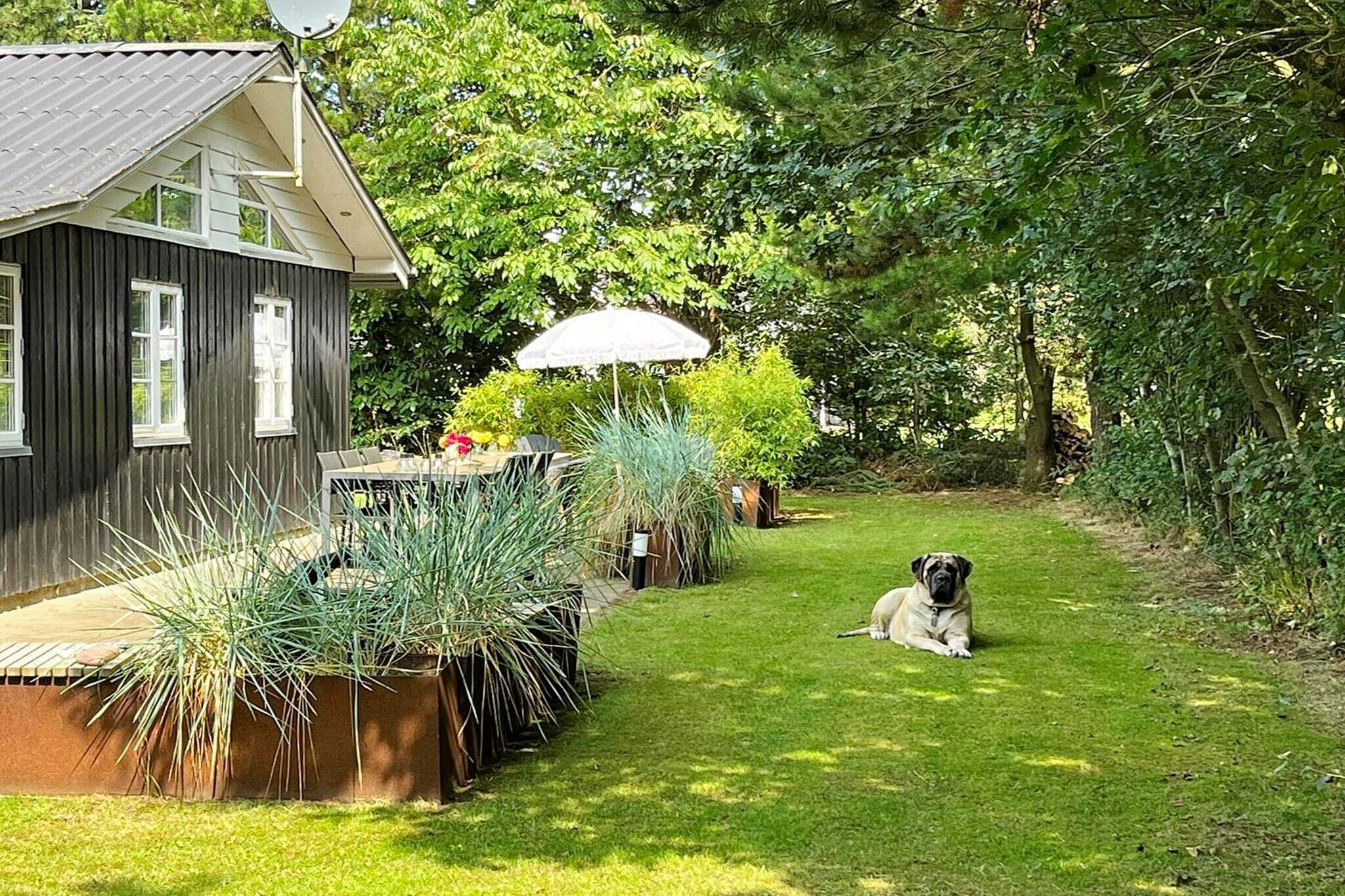 8 persoons vakantie huis in Ringkøbing - Buitenlucht