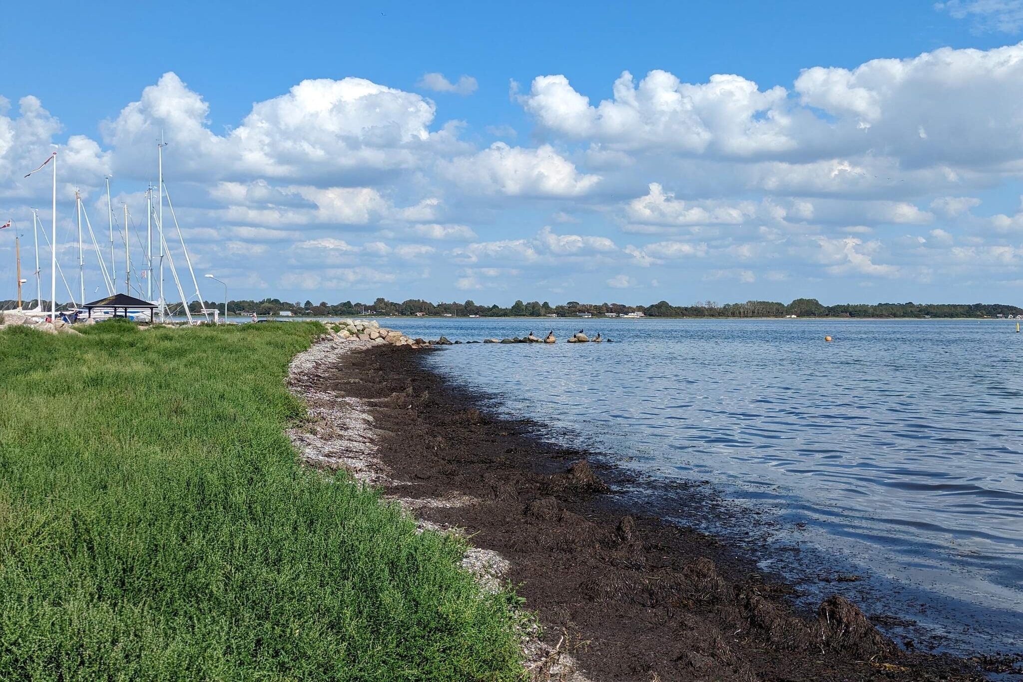 6 persoons vakantie huis in Gørlev-Waterzicht