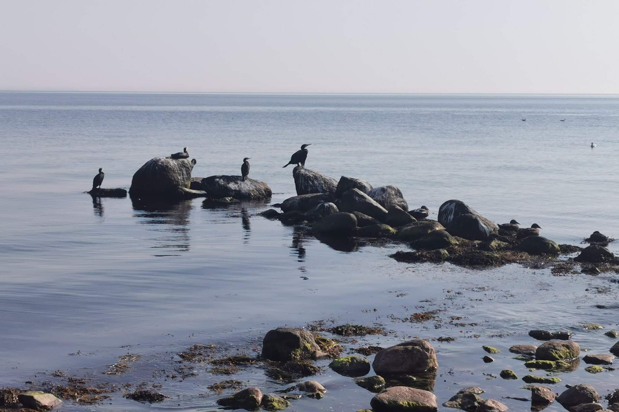 6 persoons vakantie huis in Gørlev-Waterzicht