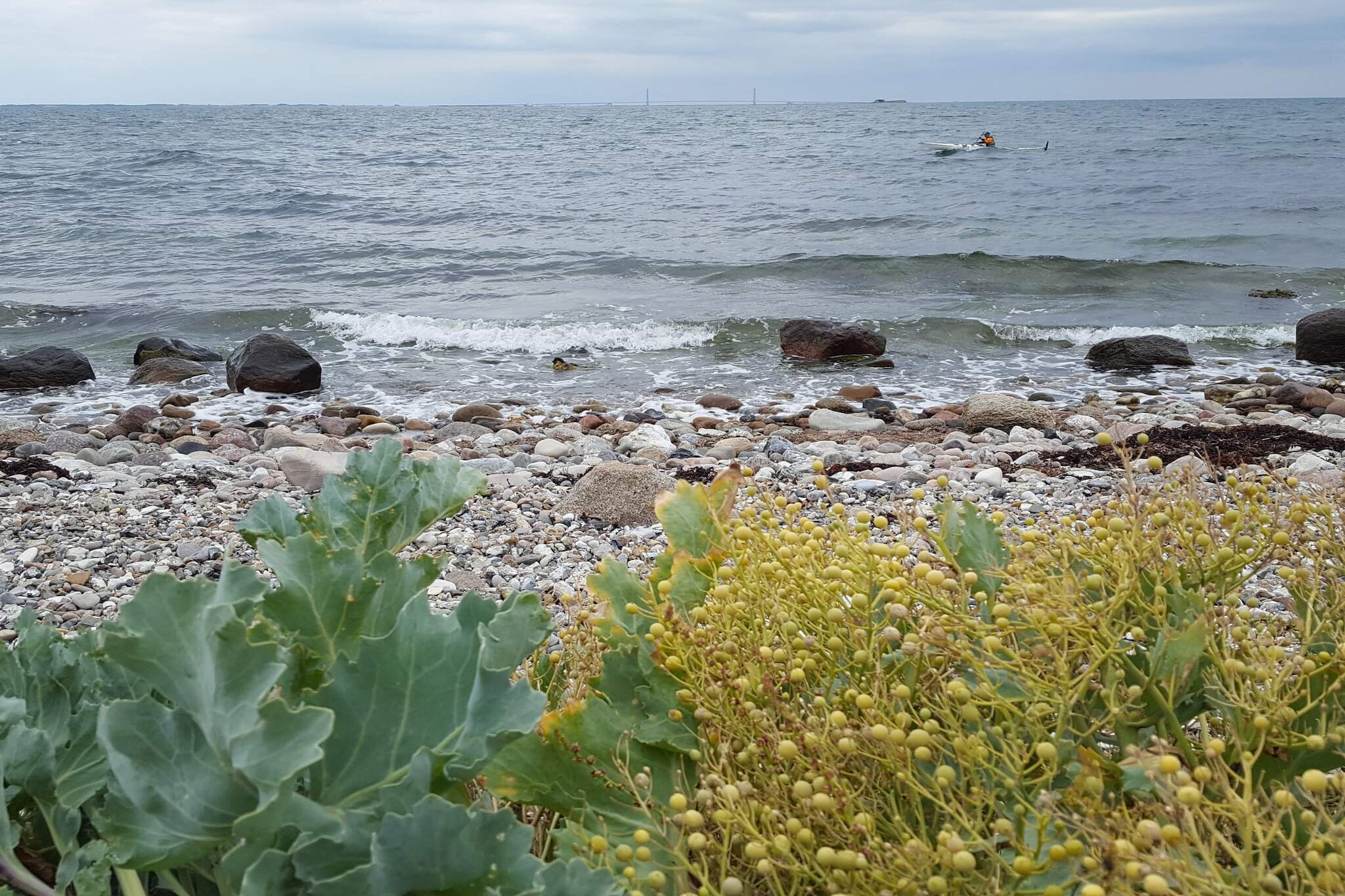 6 persoons vakantie huis in Gørlev-Waterzicht