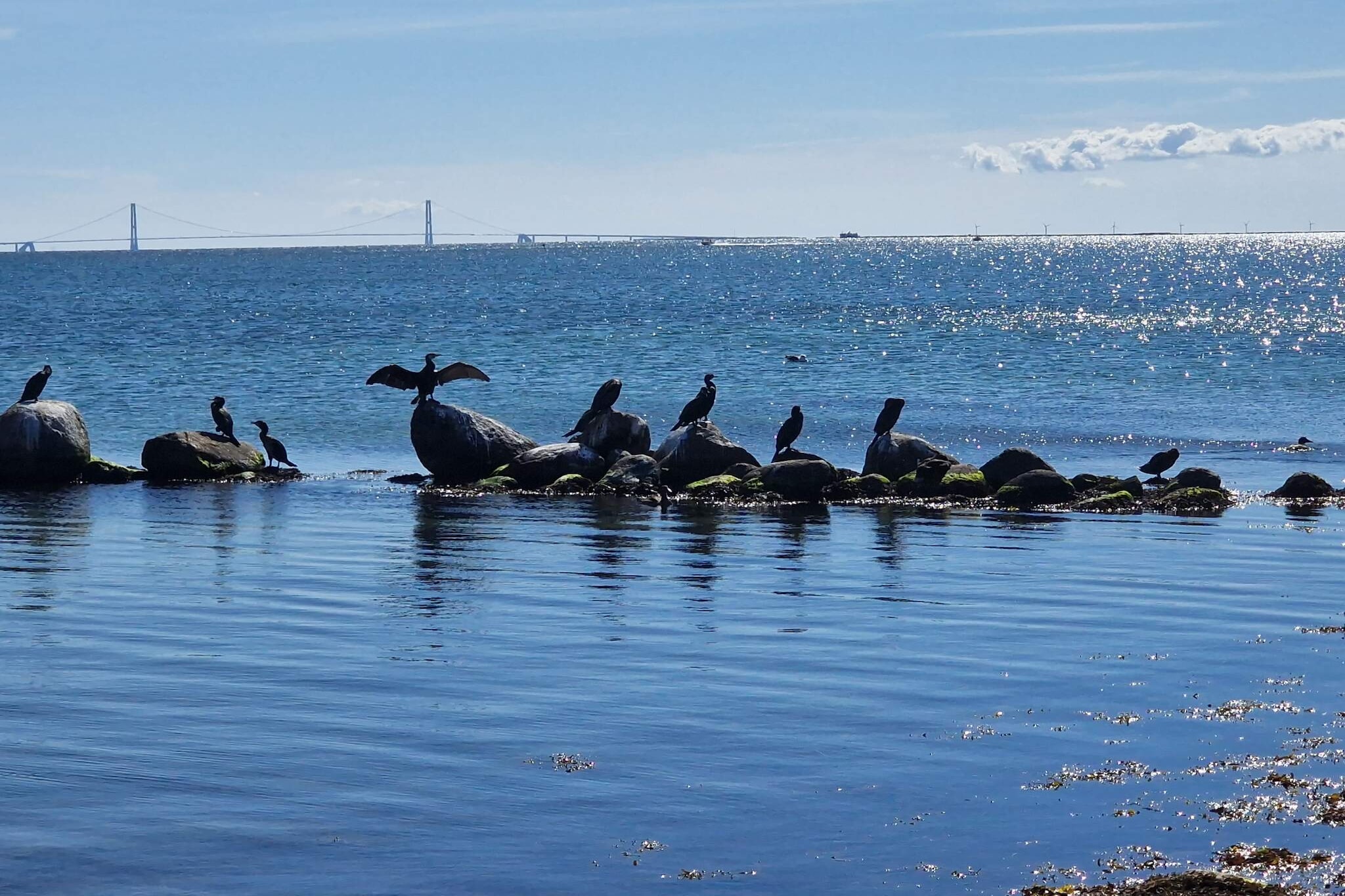 6 persoons vakantie huis in Gørlev-Waterzicht