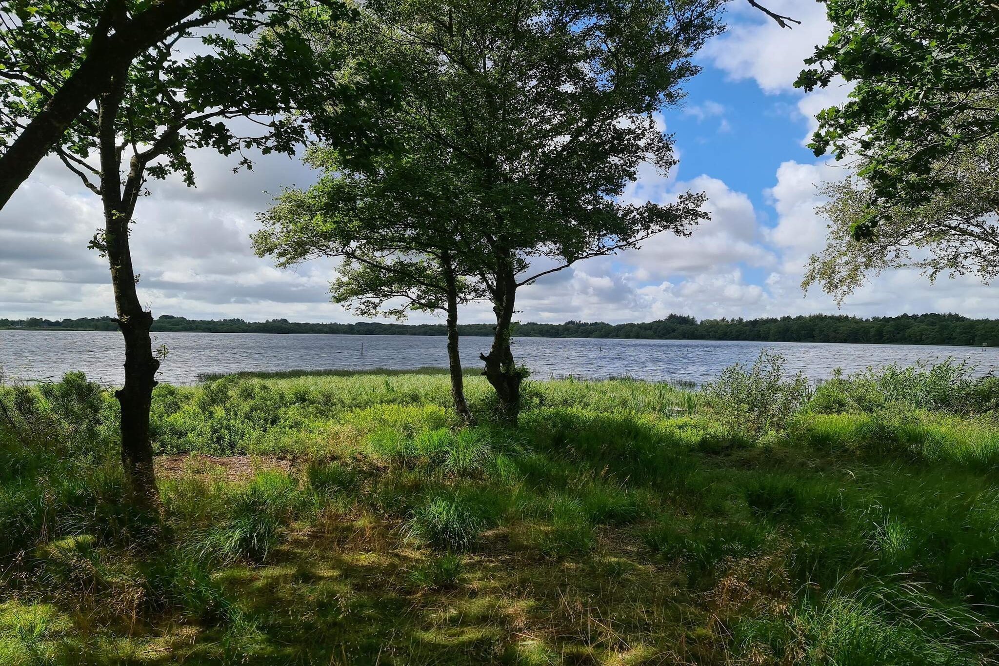 Vakantiehuis met zwembad in Ansager - Waterzicht
