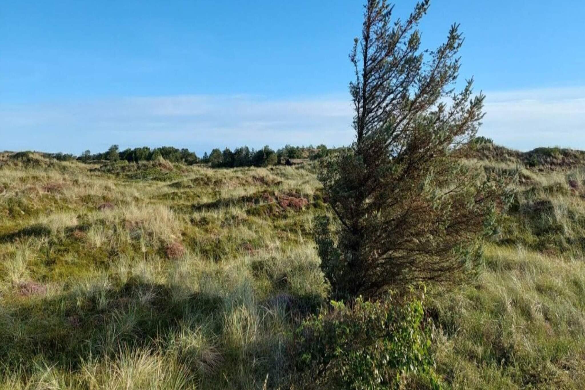 6 persoons vakantie huis in Blokhus - Buitenlucht
